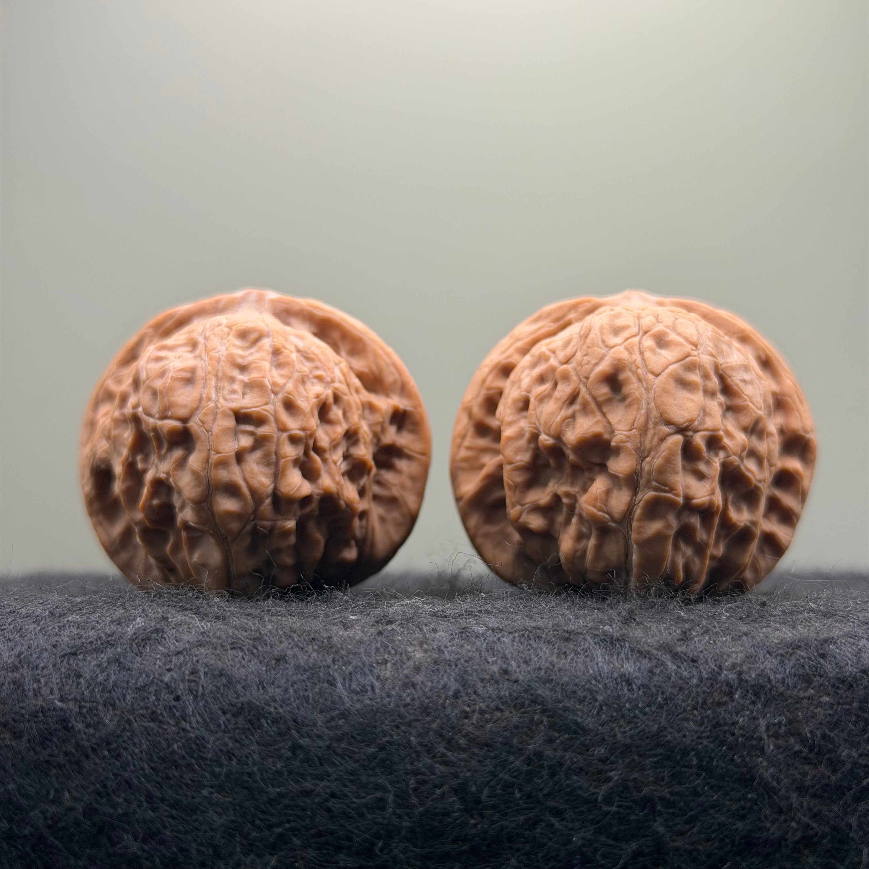 Night Pearl Wenwan Walnut · 39mm · Natural · Select Ritual