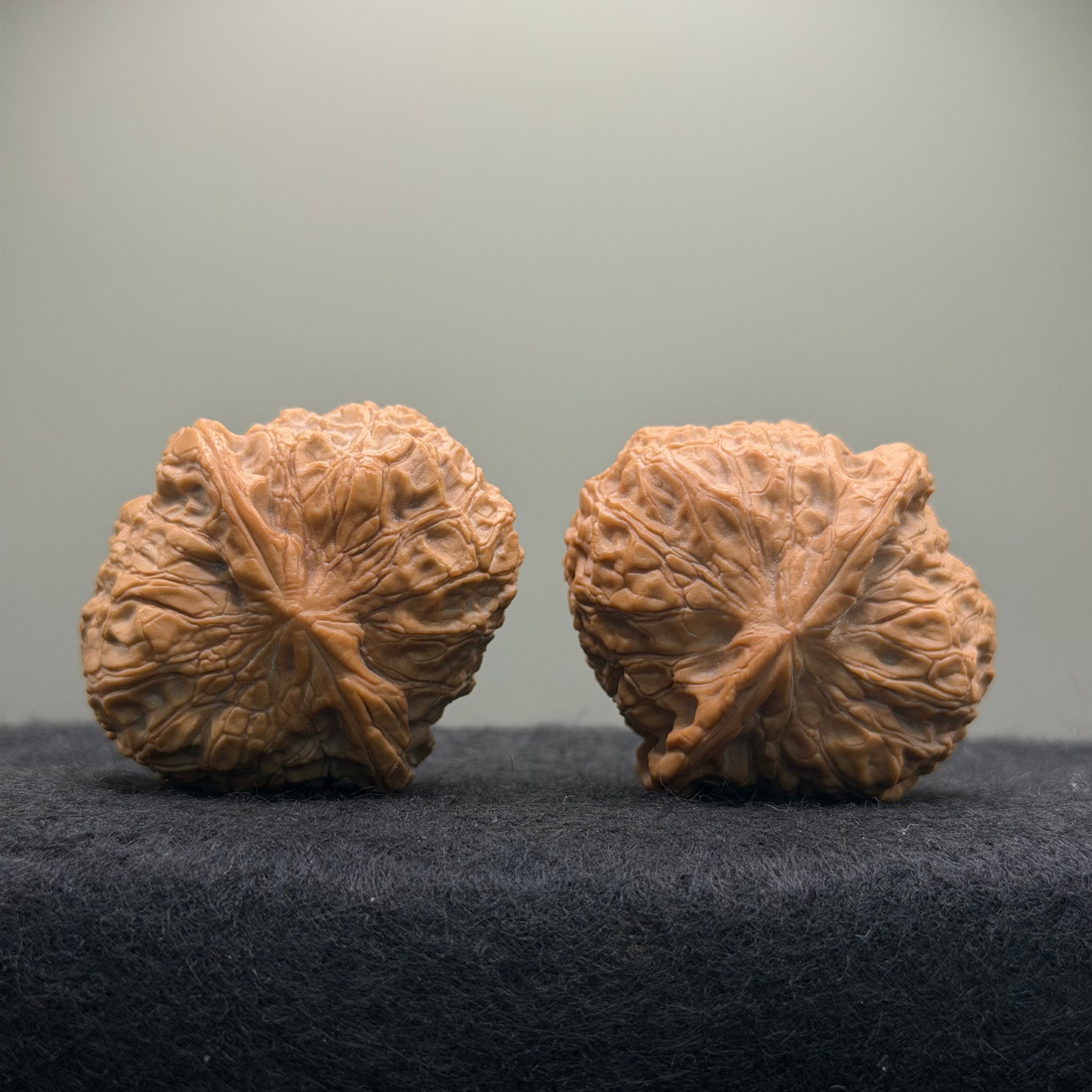 Pumpkin Wenwan Walnut · 41mm · Natural · Select Ritual