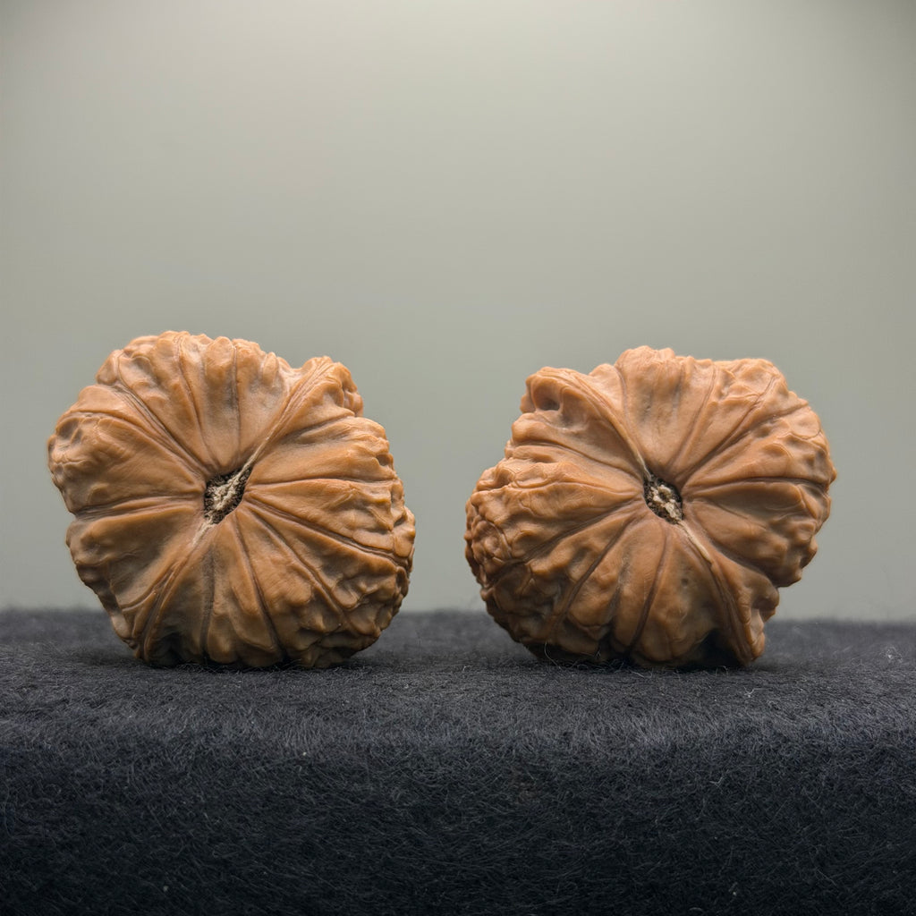 Pumpkin Wenwan Walnut · 41mm · Natural · Select Ritual