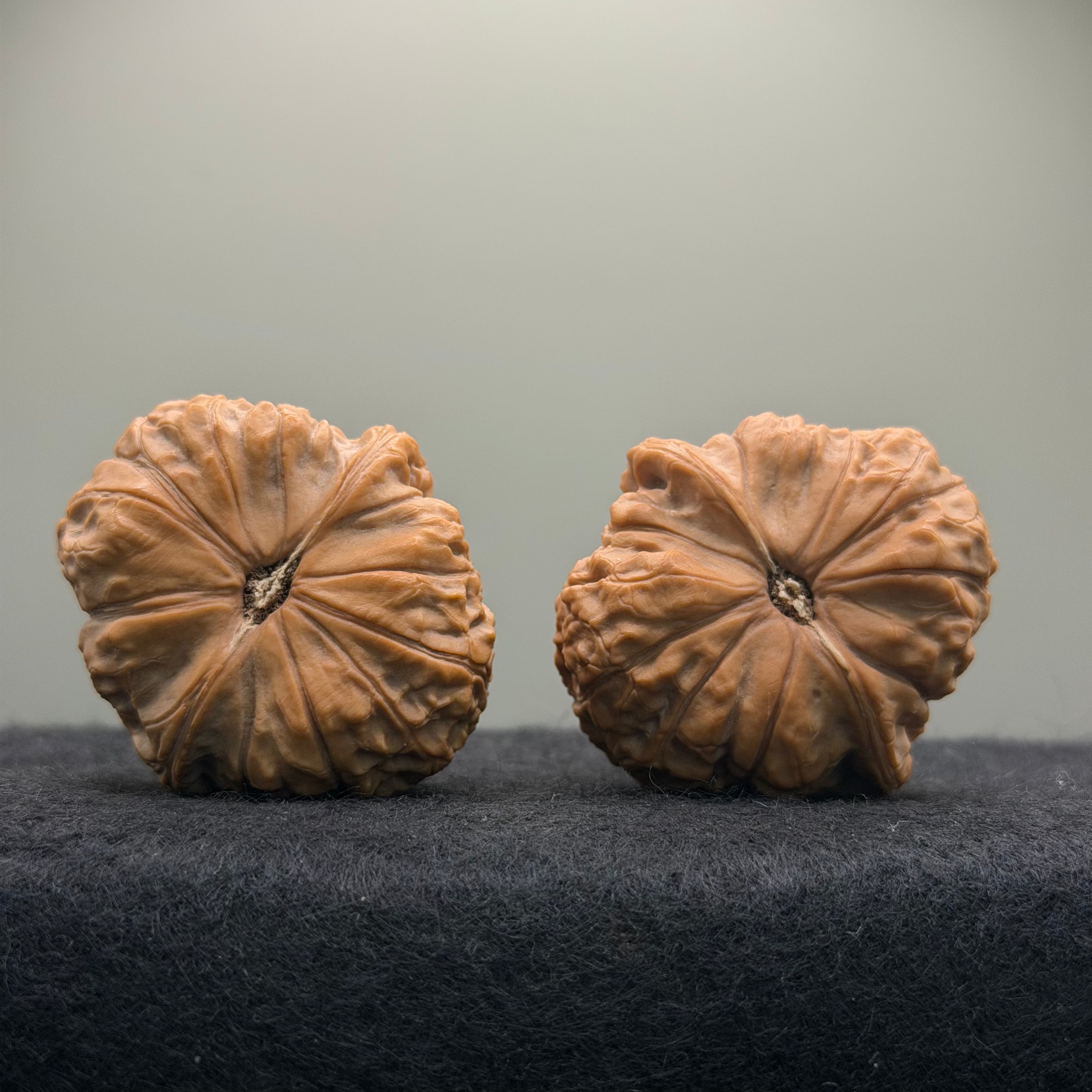 Pumpkin Wenwan Walnut · 41mm · Natural · Select Ritual