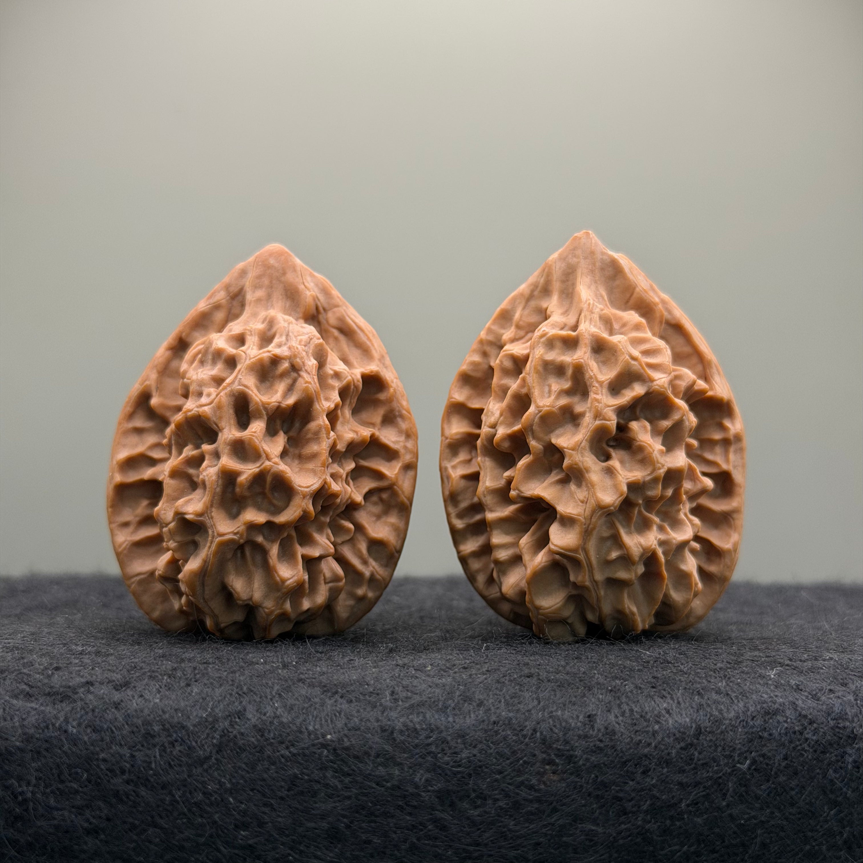 Saber-Tooth Tiger Wenwan Walnut · 48mm · Natural · Collector Ritual
