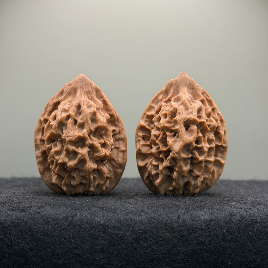Saber-Tooth Tiger Wenwan Walnut · 48mm · Natural · Collector Ritual