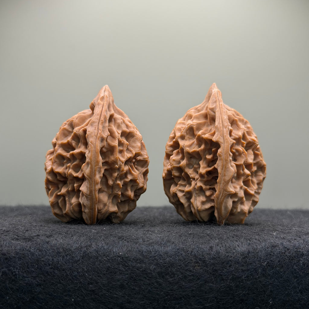 Saber-Tooth Tiger Wenwan Walnut · 48mm · Natural · Collector Ritual