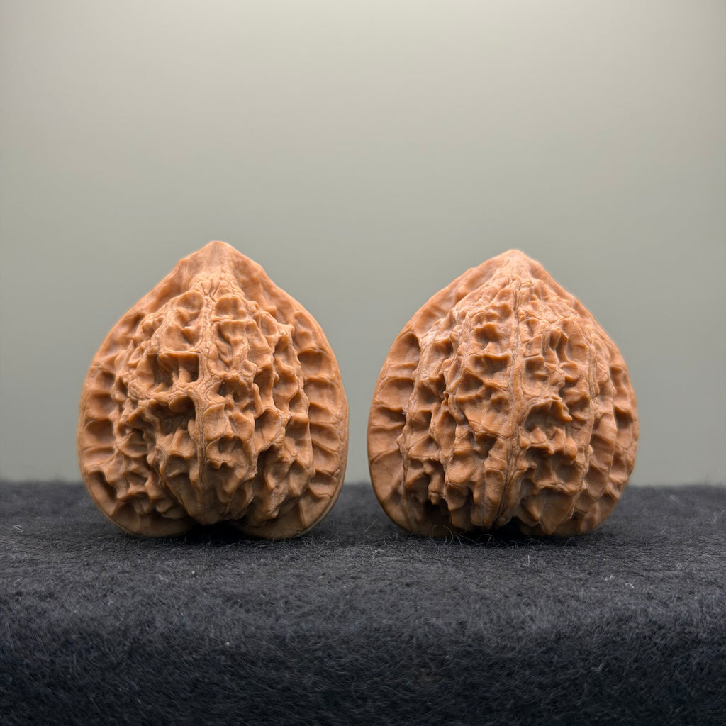 Golden Bull Wenwan Walnut · 38mm · Natural · Entry Ritual