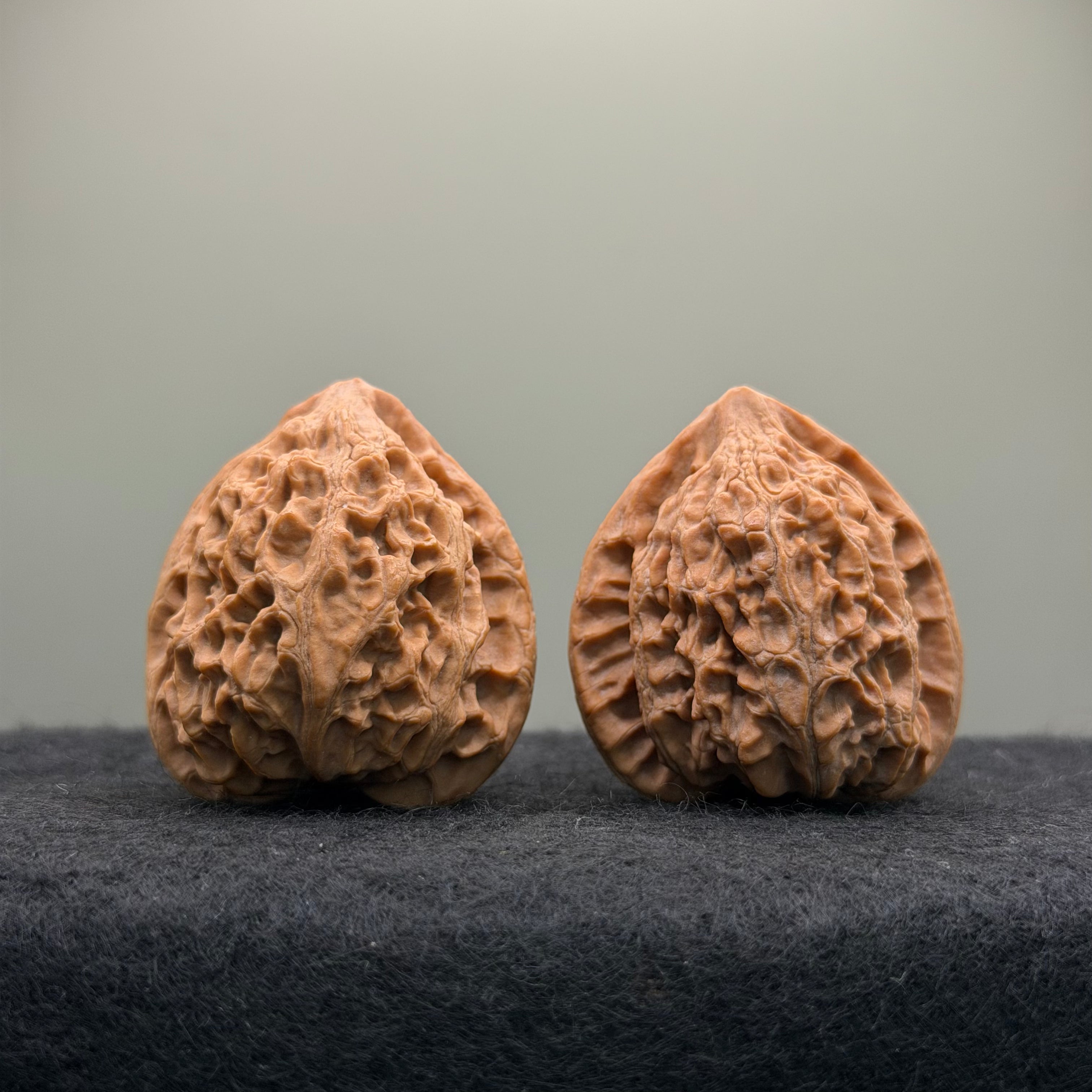 Golden Bull Wenwan Walnut · 38mm · Natural · Entry Ritual