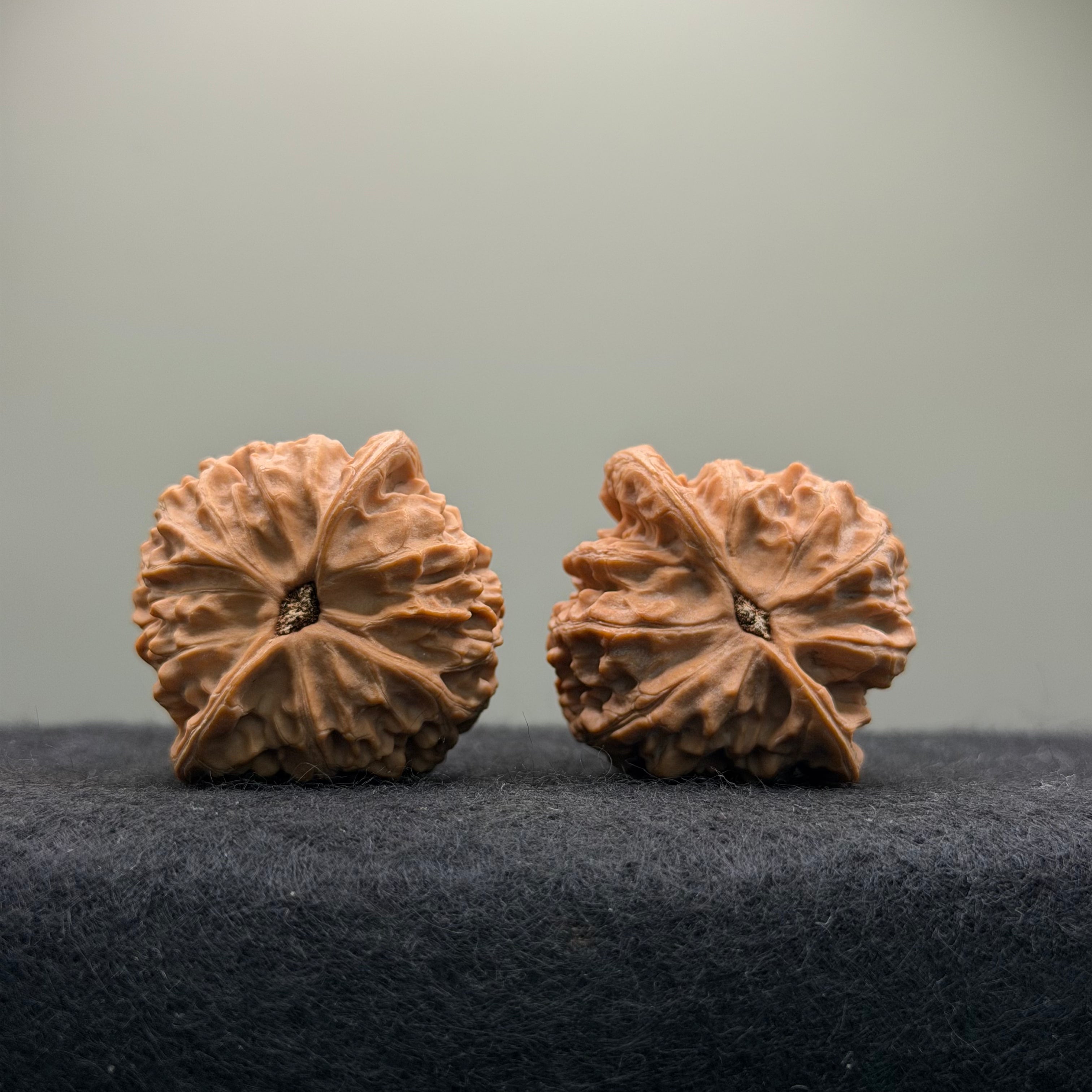 Golden Bull Wenwan Walnut · 38mm · Natural · Entry Ritual