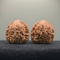 Hydrangea Wenwan Walnut · 39mm · Walnut Ritual · Select Ritual