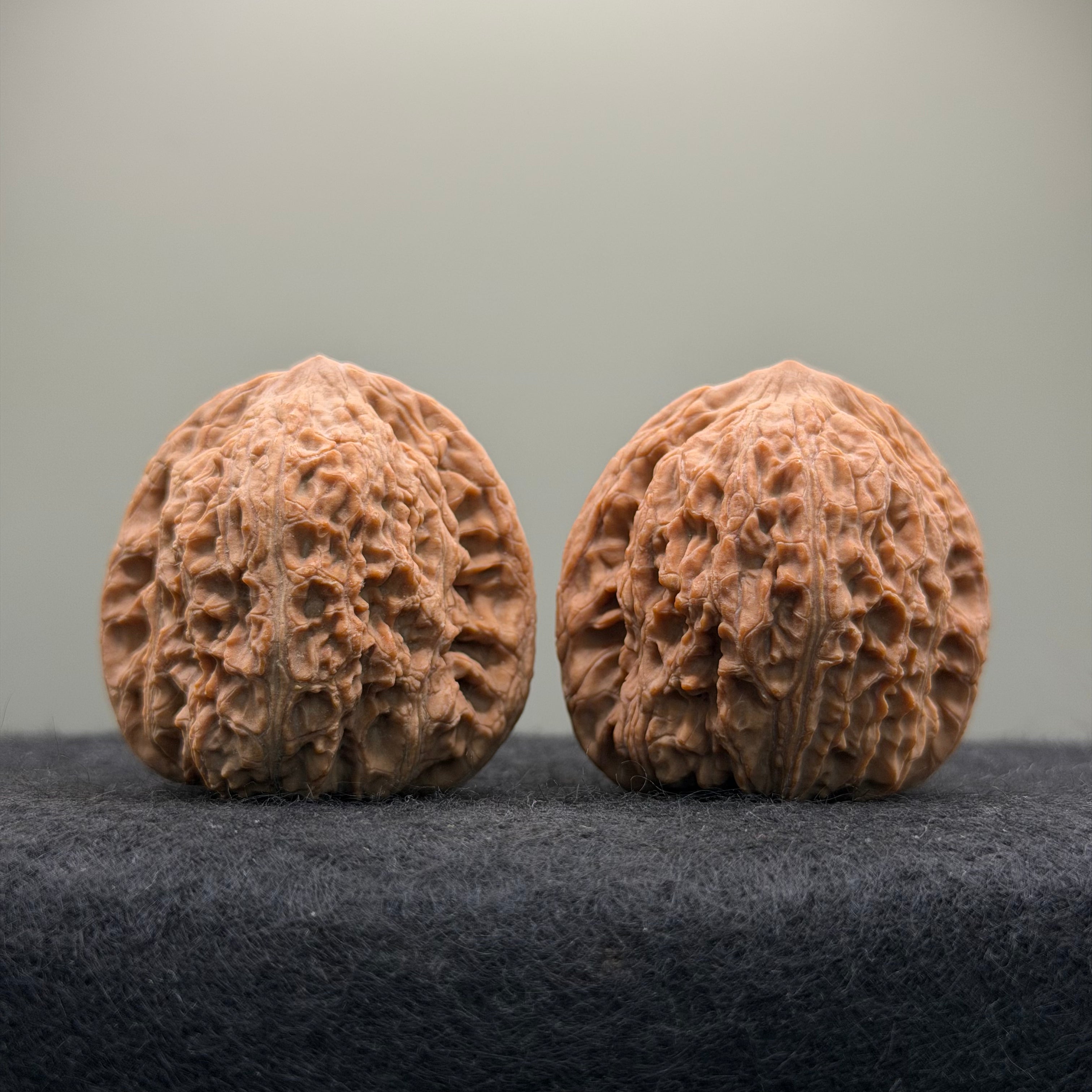 Hydrangea Wenwan Walnut · 39mm · Walnut Ritual · Select Ritual