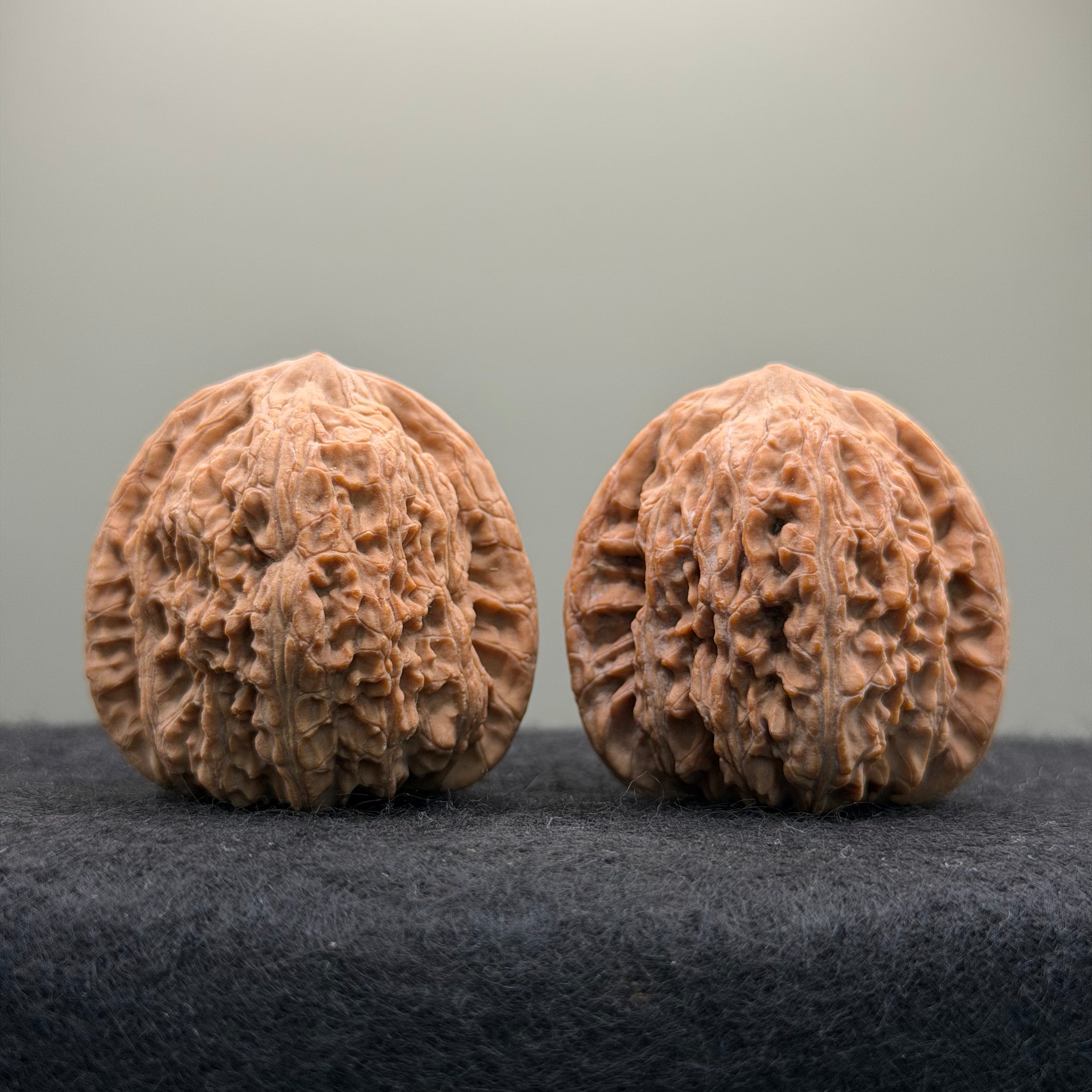 Hydrangea Wenwan Walnut · 39mm · Walnut Ritual · Select Ritual