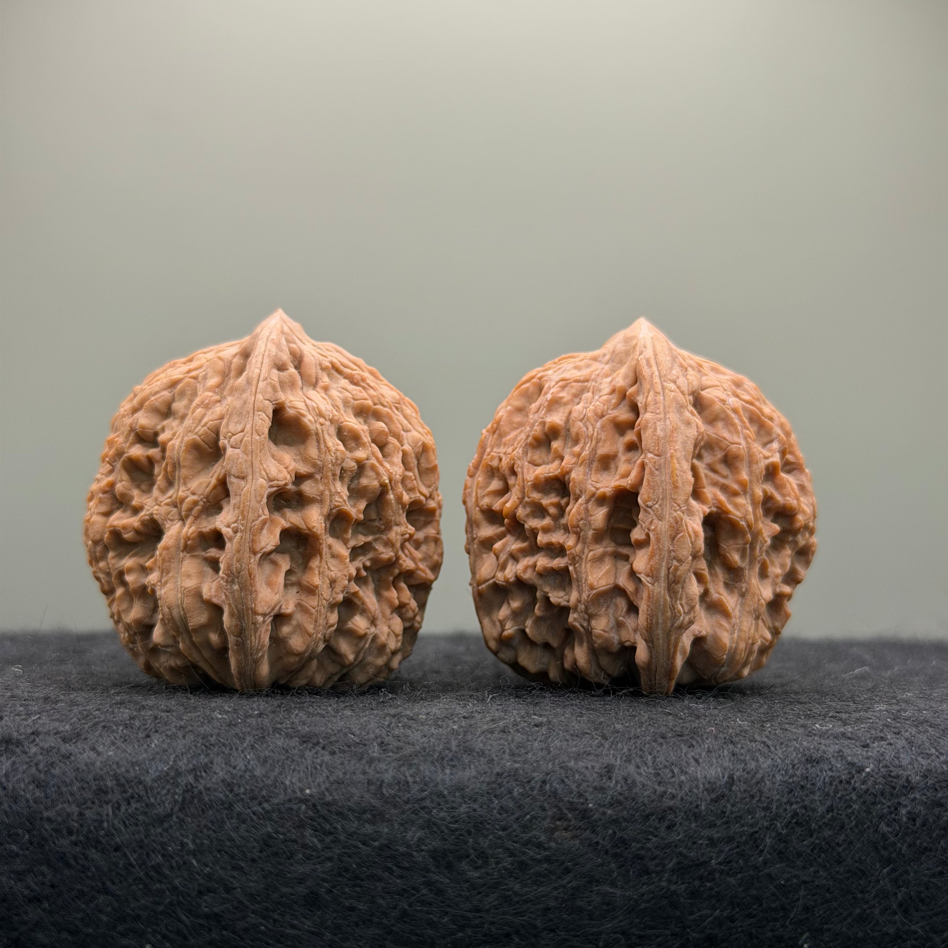 Hydrangea Wenwan Walnut · 39mm · Walnut Ritual · Select Ritual