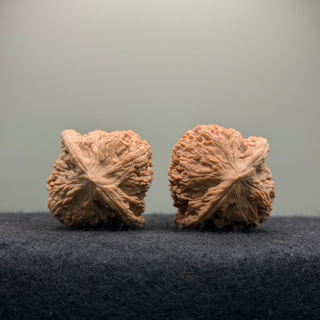 Hydrangea Wenwan Walnut · 39mm · Walnut Ritual · Select Ritual