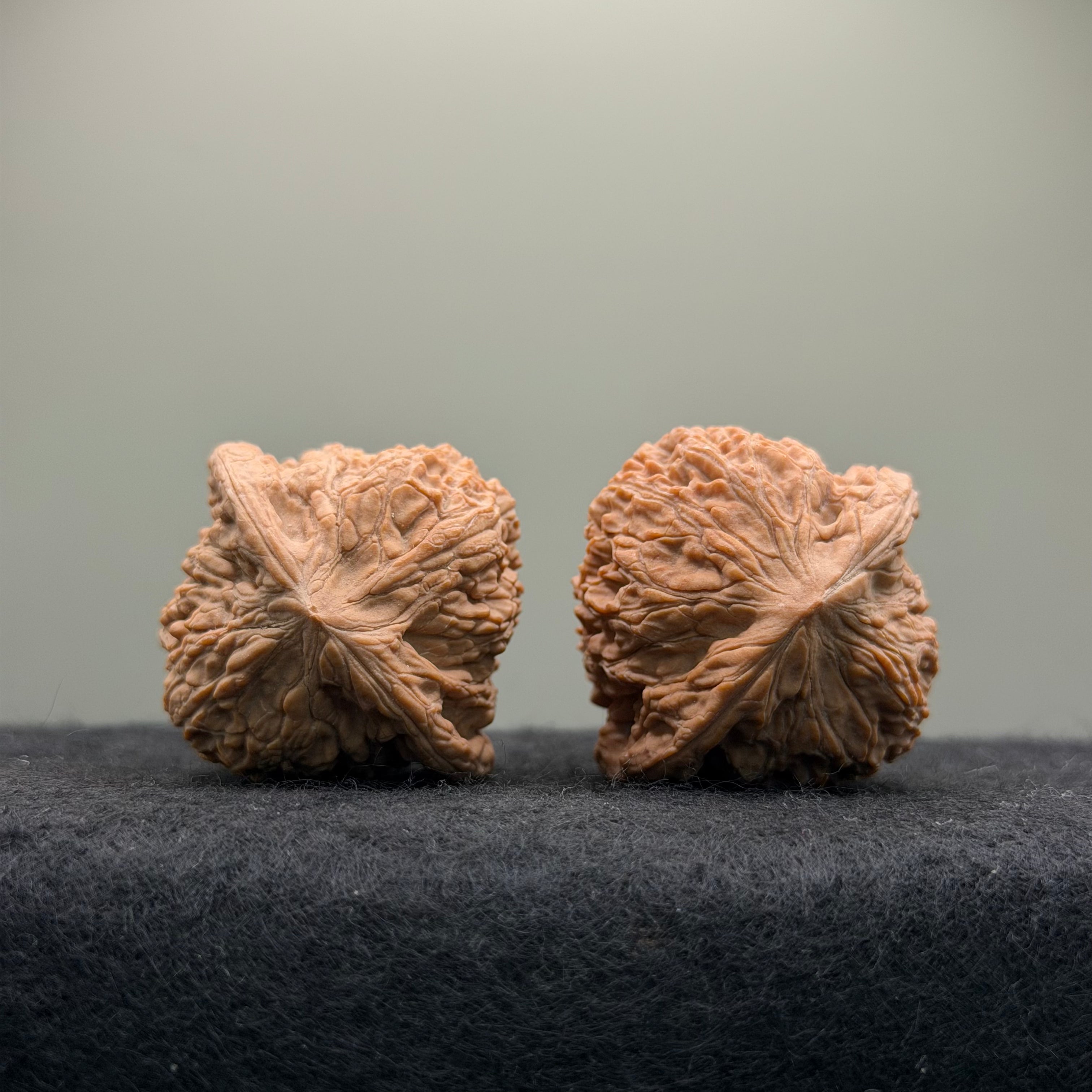 Hydrangea Wenwan Walnut · 39mm · Walnut Ritual · Select Ritual