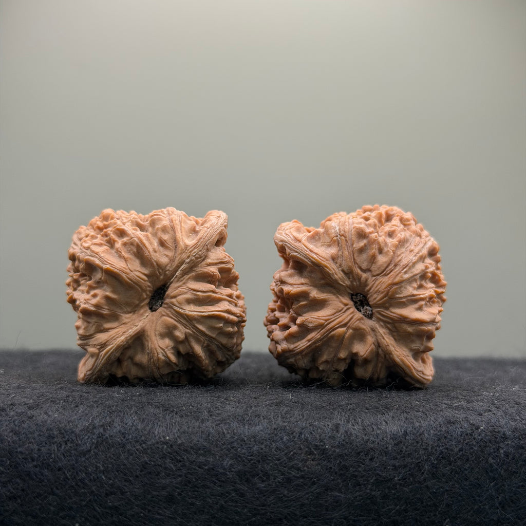 Hydrangea Wenwan Walnut · 39mm · Walnut Ritual · Select Ritual