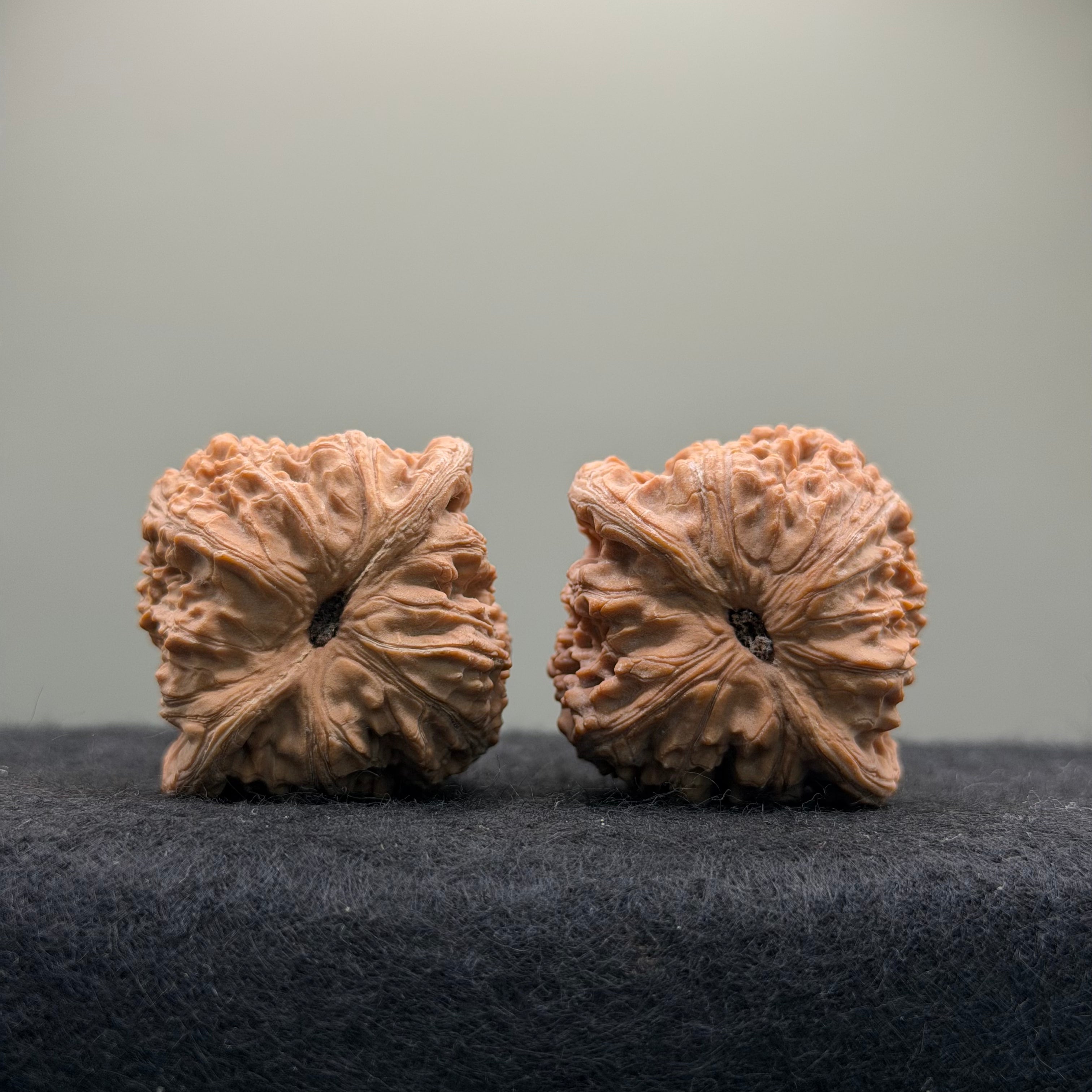 Hydrangea Wenwan Walnut · 39mm · Walnut Ritual · Select Ritual
