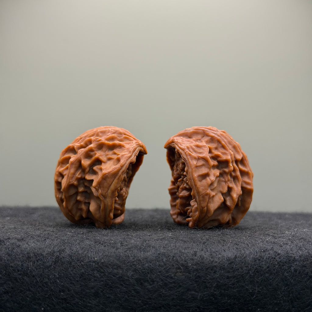 Treasure Bowl Wenwan Walnut · 35mm · Natural · Select Ritual