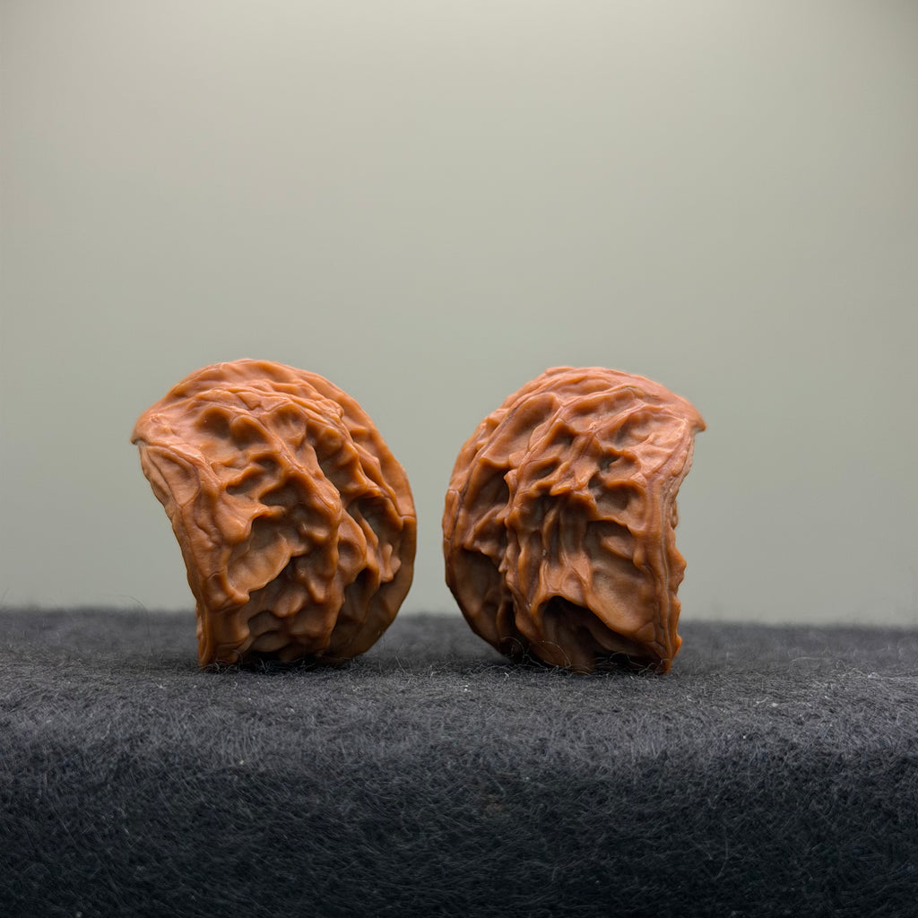 Treasure Bowl Wenwan Walnut · 35mm · Natural · Select Ritual