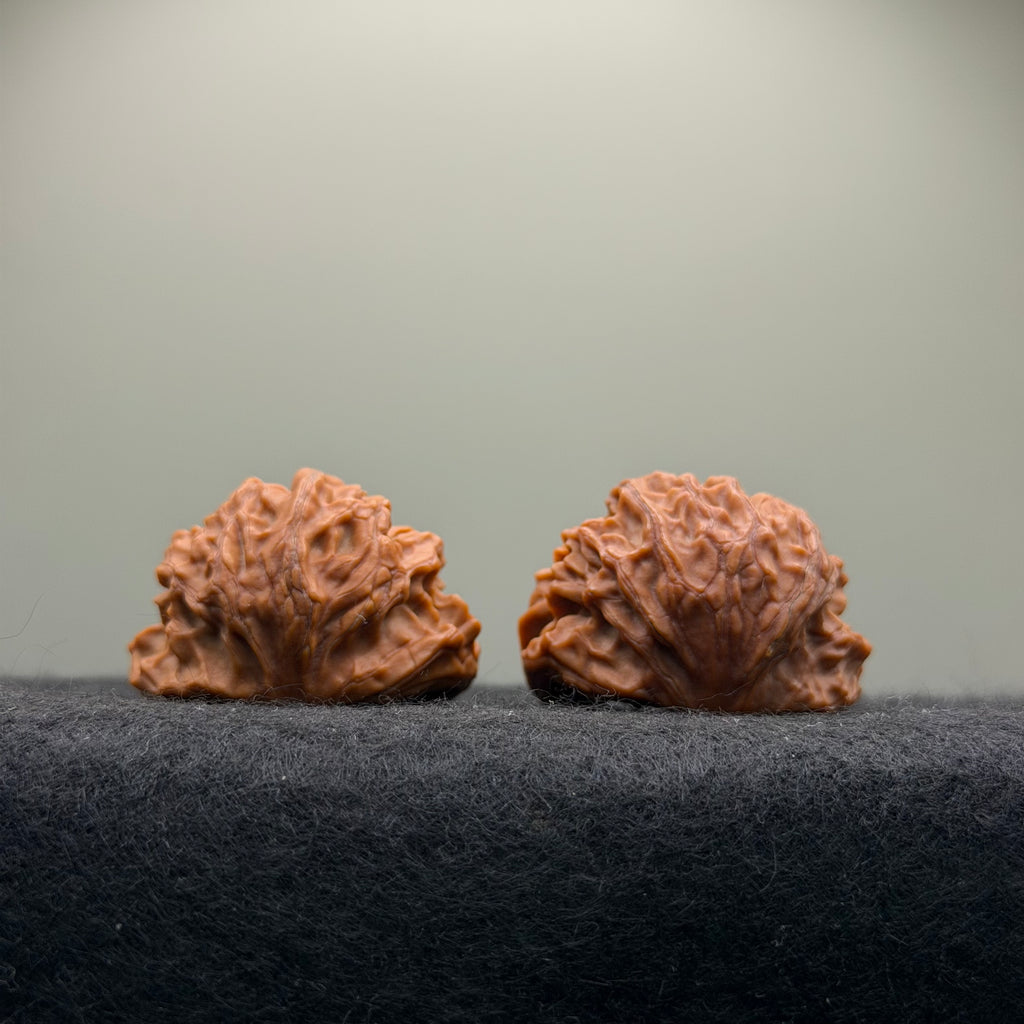 Treasure Bowl Wenwan Walnut · 35mm · Natural · Select Ritual