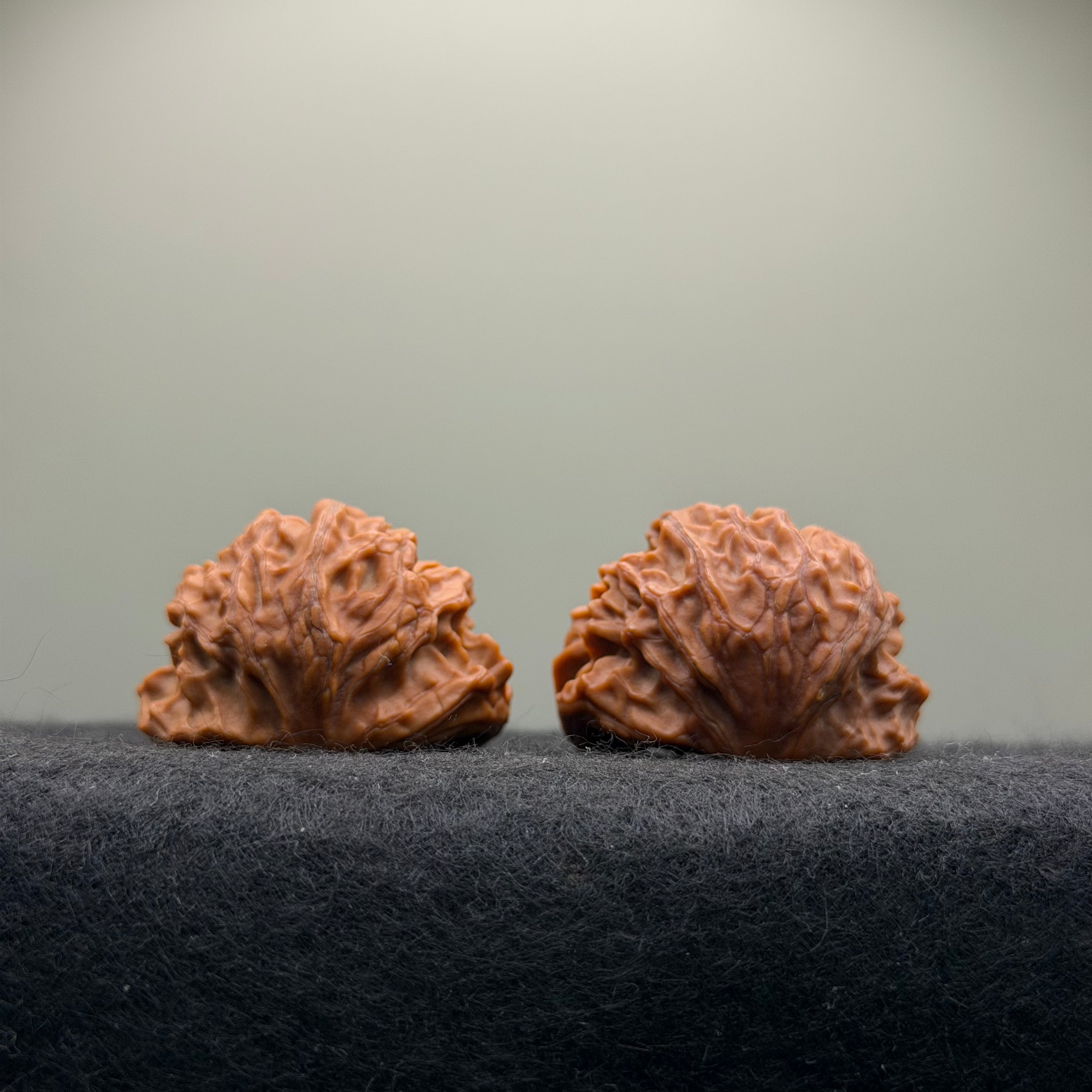 Treasure Bowl Wenwan Walnut · 35mm · Natural · Select Ritual