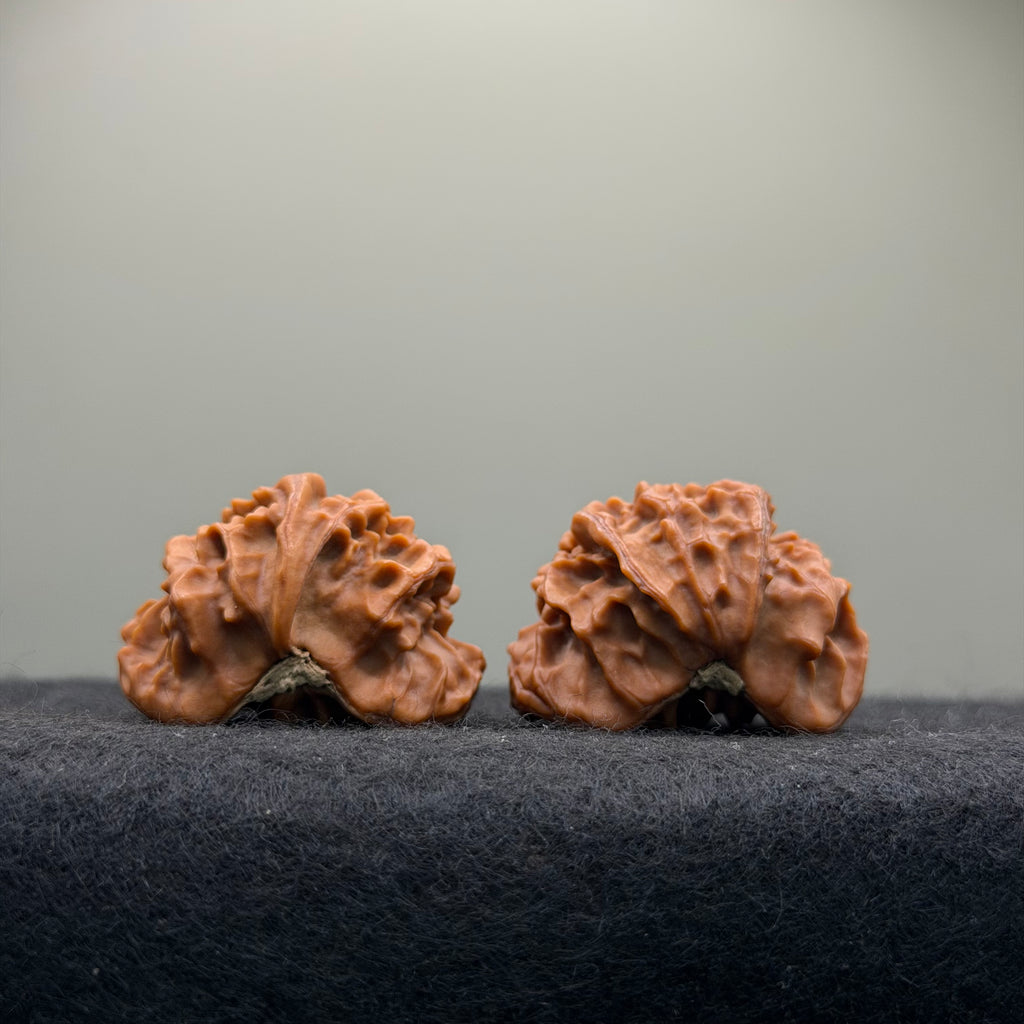Treasure Bowl Wenwan Walnut · 35mm · Natural · Select Ritual