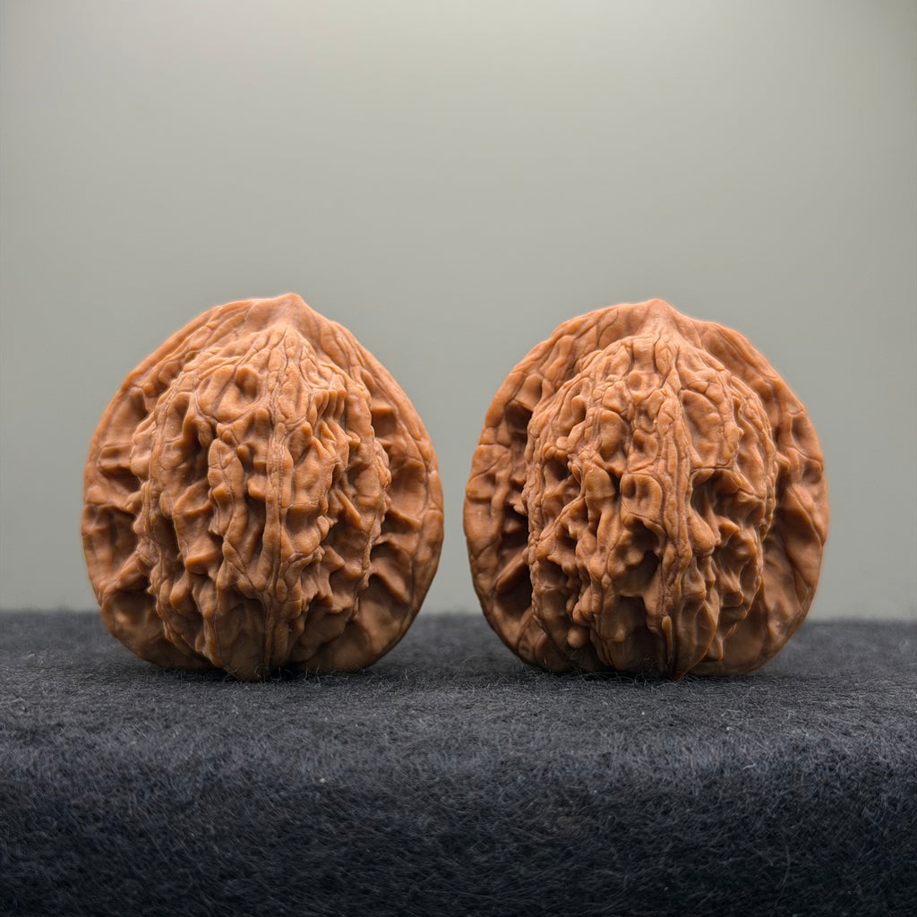 Wheat Ear Tiger Head Wenwan Walnut · 41mm · Natural · Entry Ritual