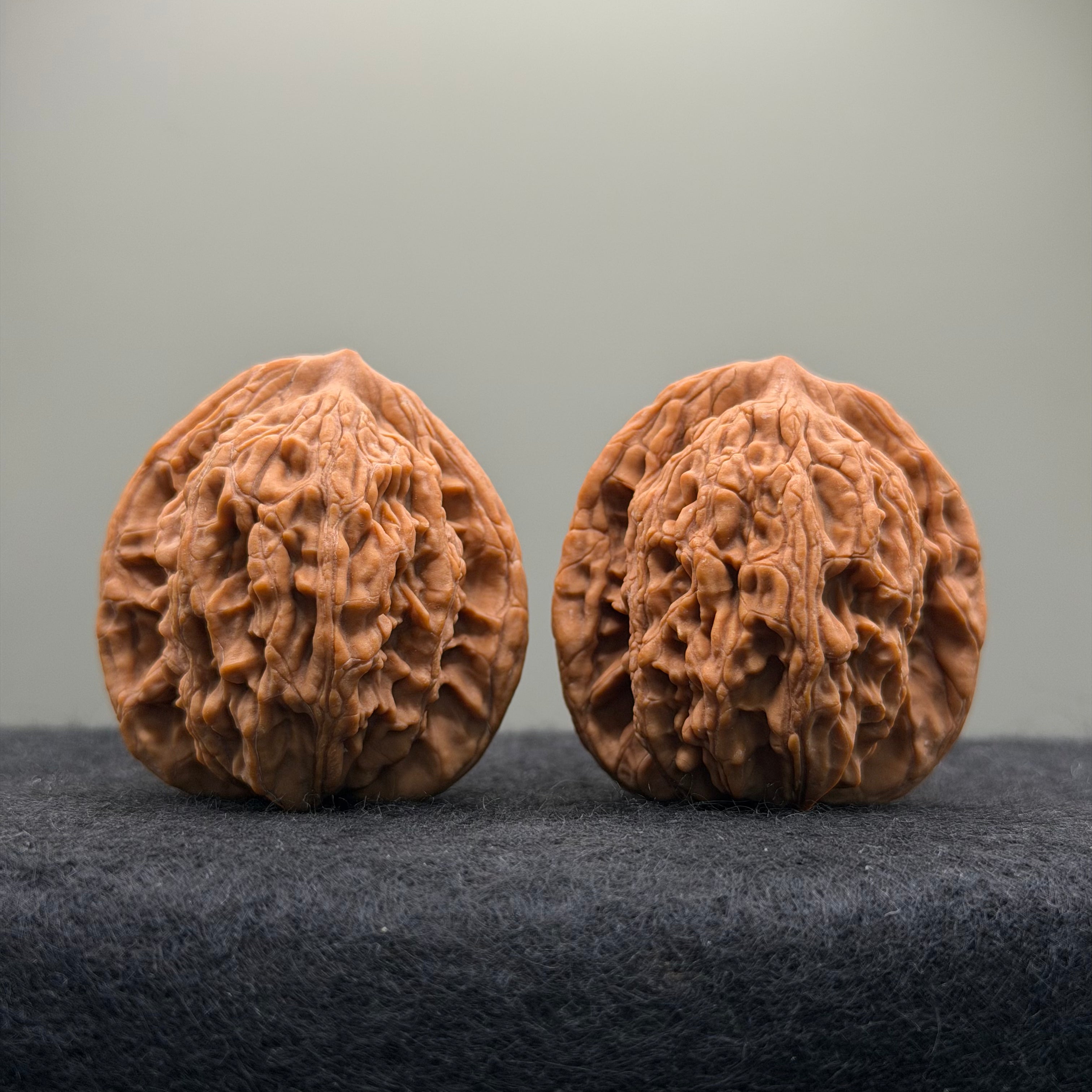 Wheat Ear Tiger Head Wenwan Walnut · 41mm · Natural · Entry Ritual