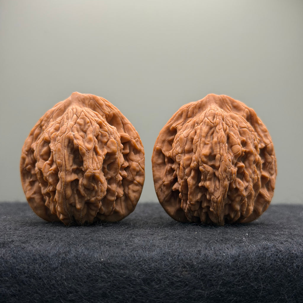 Wheat Ear Tiger Head Wenwan Walnut · 41mm · Natural · Entry Ritual