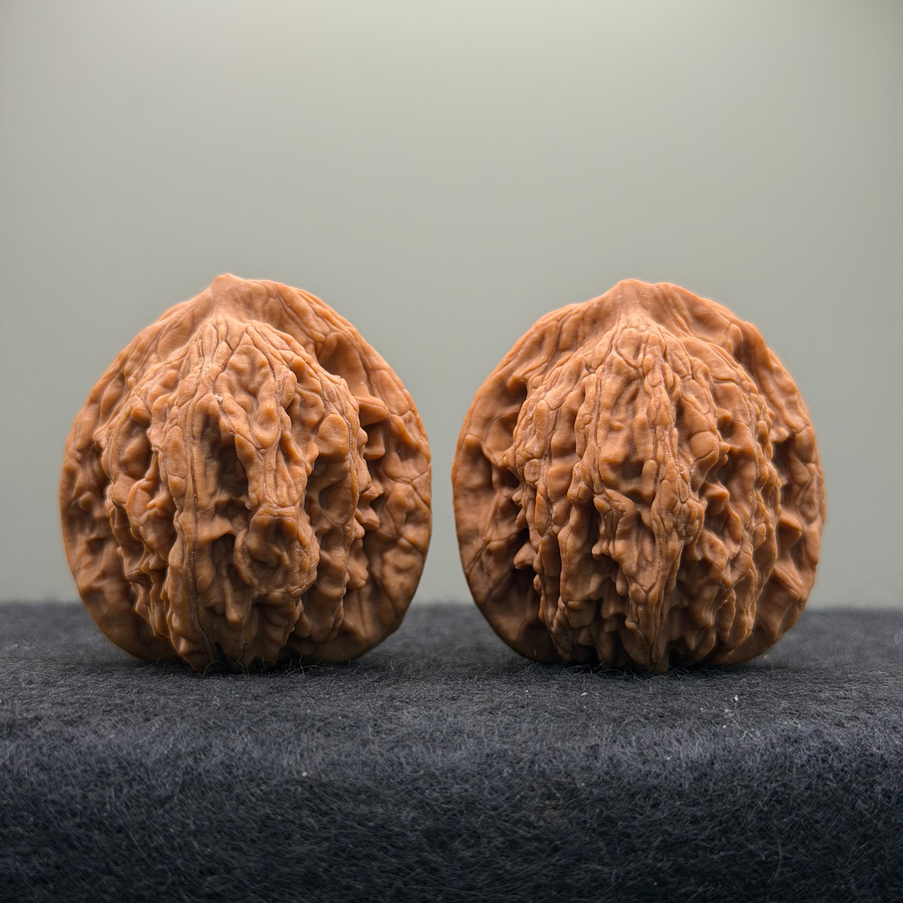 Wheat Ear Tiger Head Wenwan Walnut · 41mm · Natural · Entry Ritual