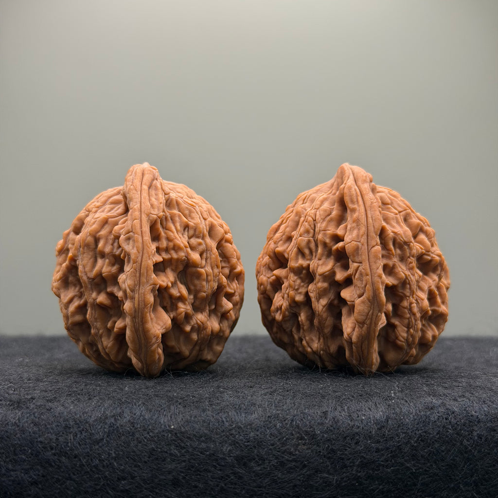 Wheat Ear Tiger Head Wenwan Walnut · 41mm · Natural · Entry Ritual