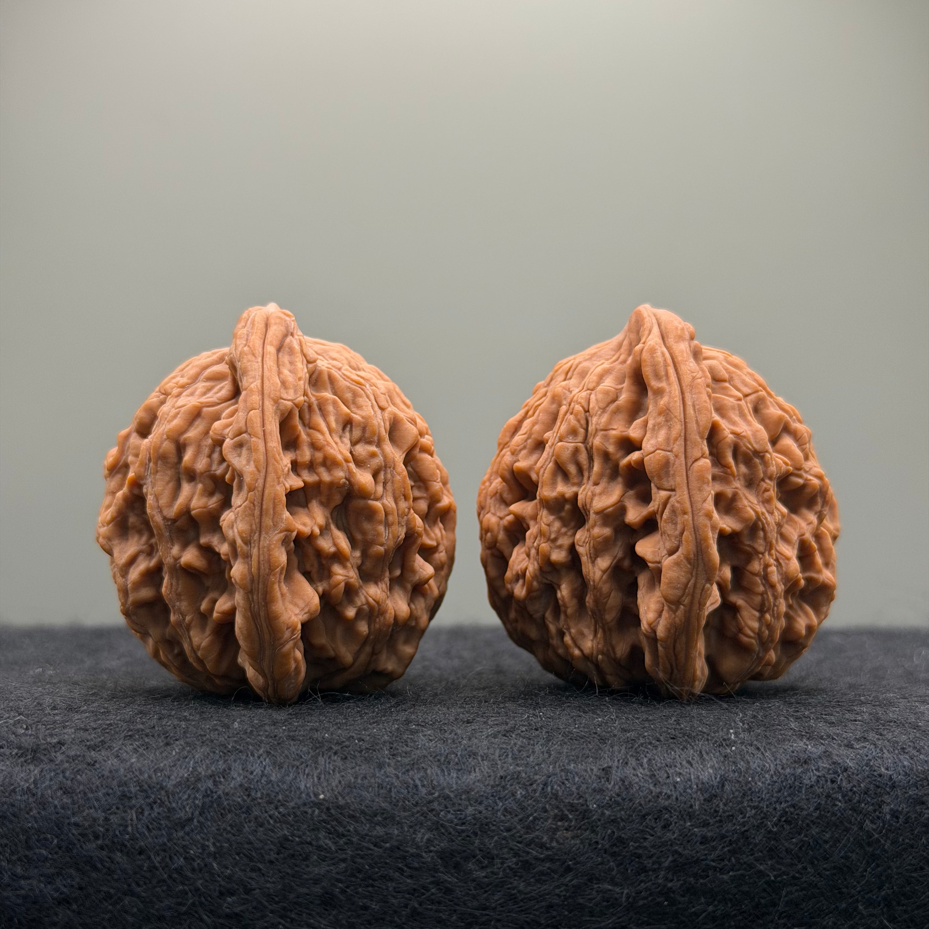 Wheat Ear Tiger Head Wenwan Walnut · 41mm · Natural · Entry Ritual