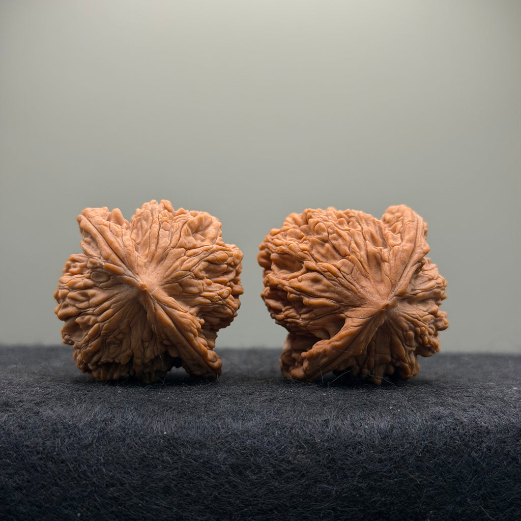 Wheat Ear Tiger Head Wenwan Walnut · 41mm · Natural · Entry Ritual