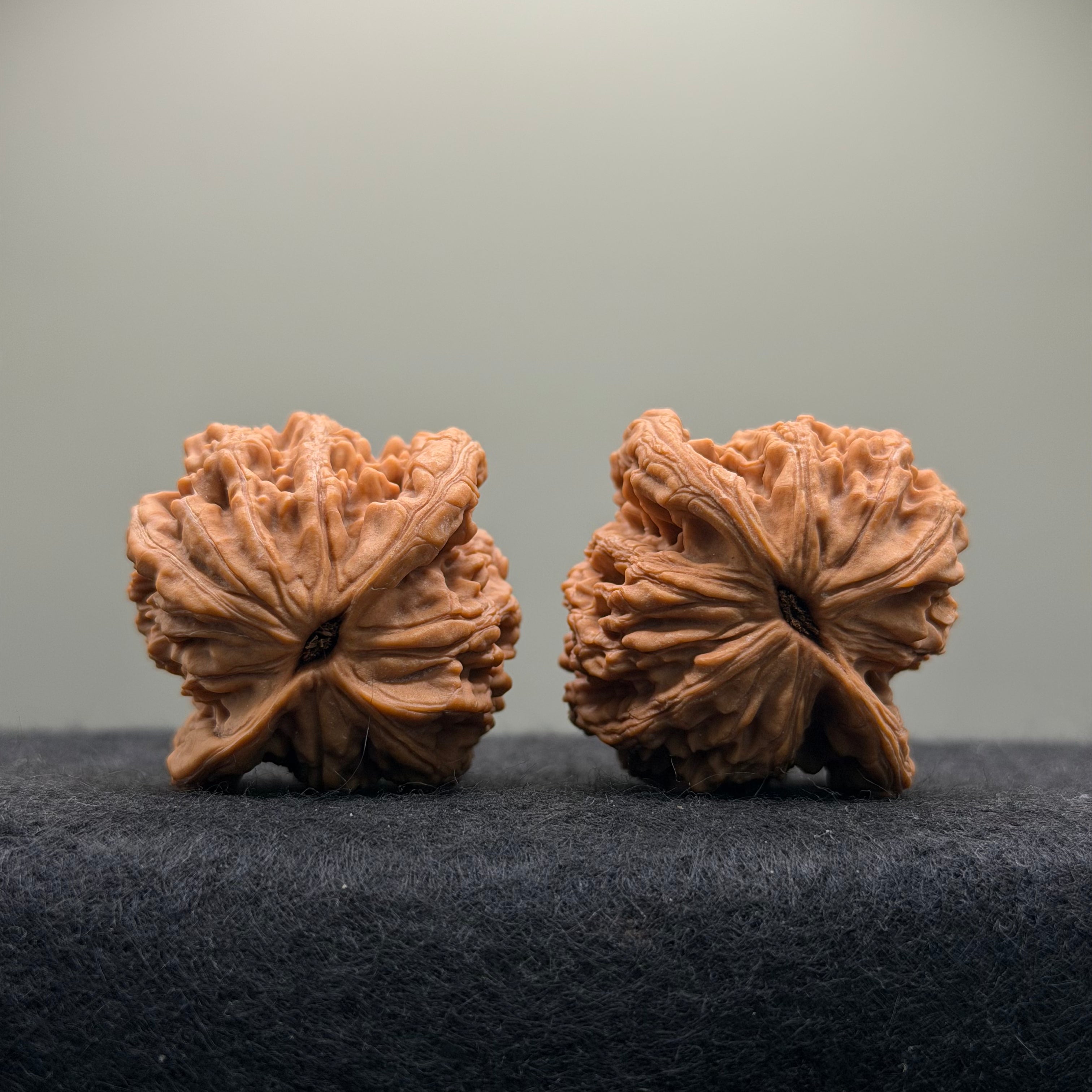 Wheat Ear Tiger Head Wenwan Walnut · 41mm · Natural · Entry Ritual
