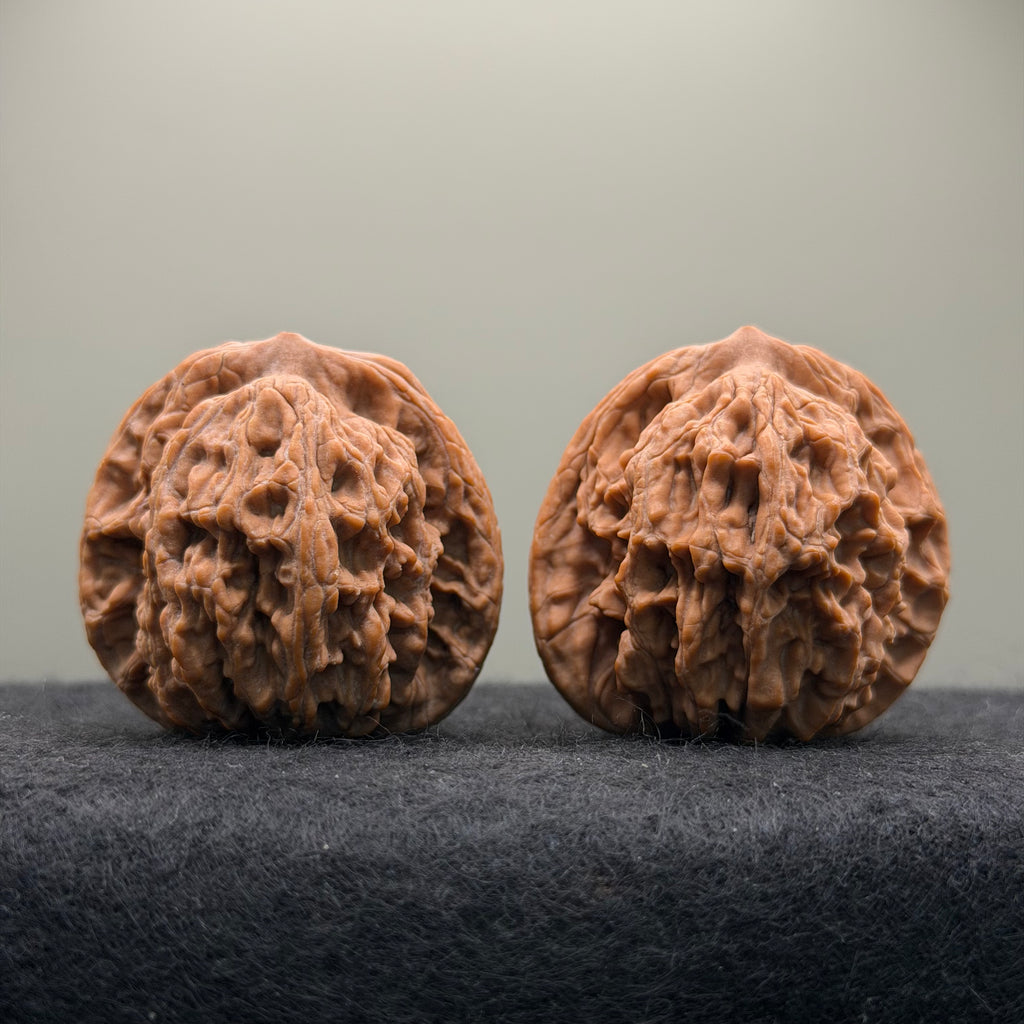 Wheat Ear Tiger Head Wenwan Walnut  · 41mm · Natural · Entry Ritual