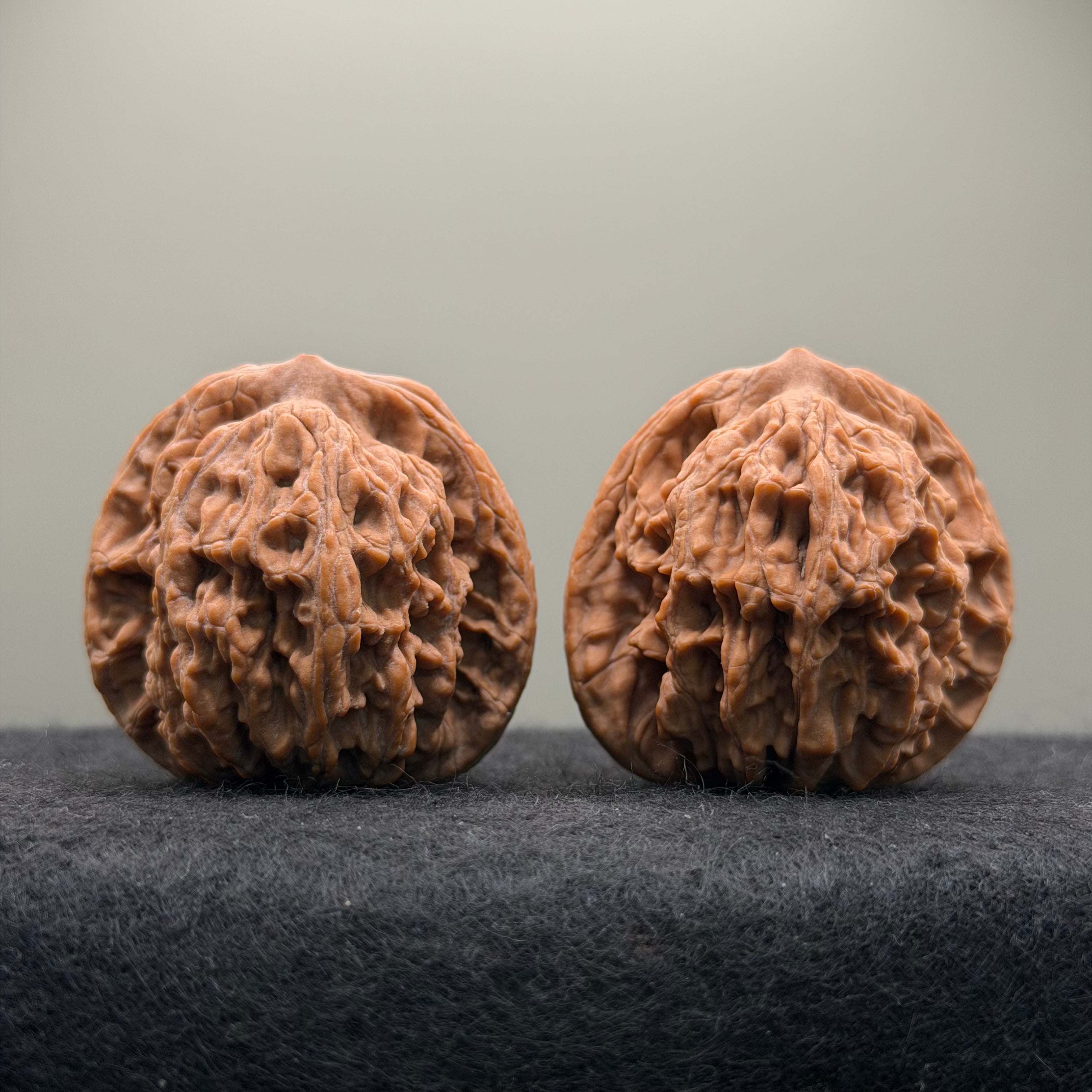 Wheat Ear Tiger Head Wenwan Walnut  · 41mm · Natural · Entry Ritual