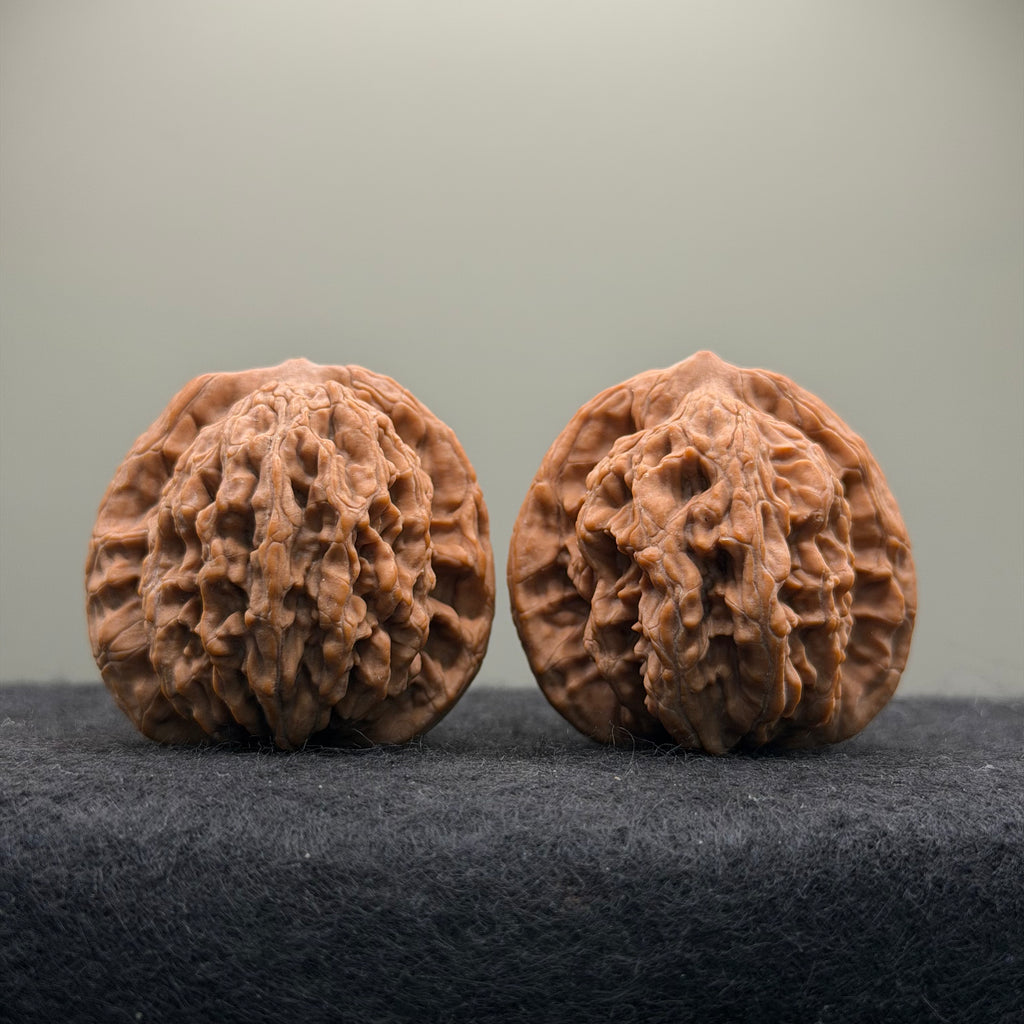 Wheat Ear Tiger Head Wenwan Walnut  · 41mm · Natural · Entry Ritual