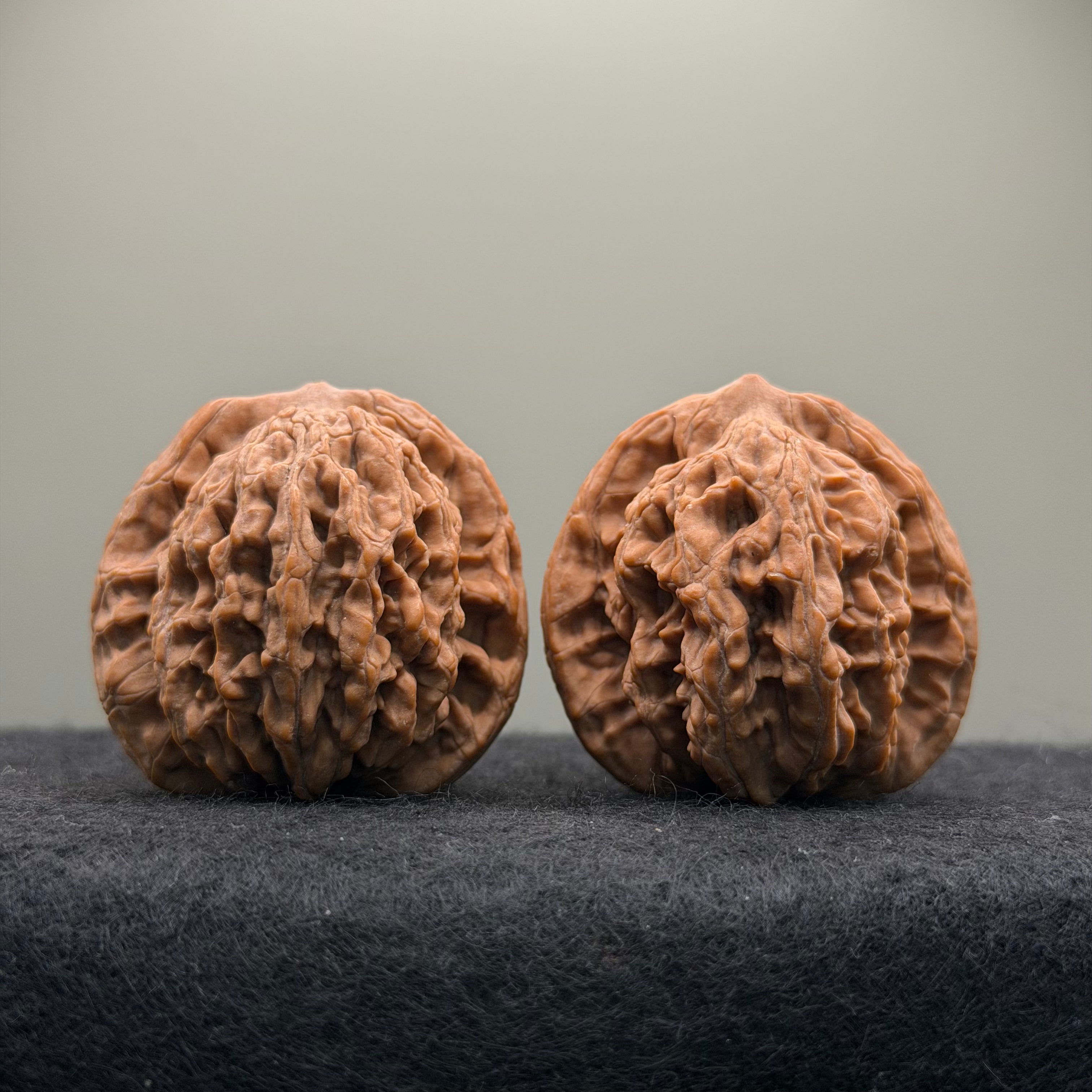 Wheat Ear Tiger Head Wenwan Walnut  · 41mm · Natural · Entry Ritual