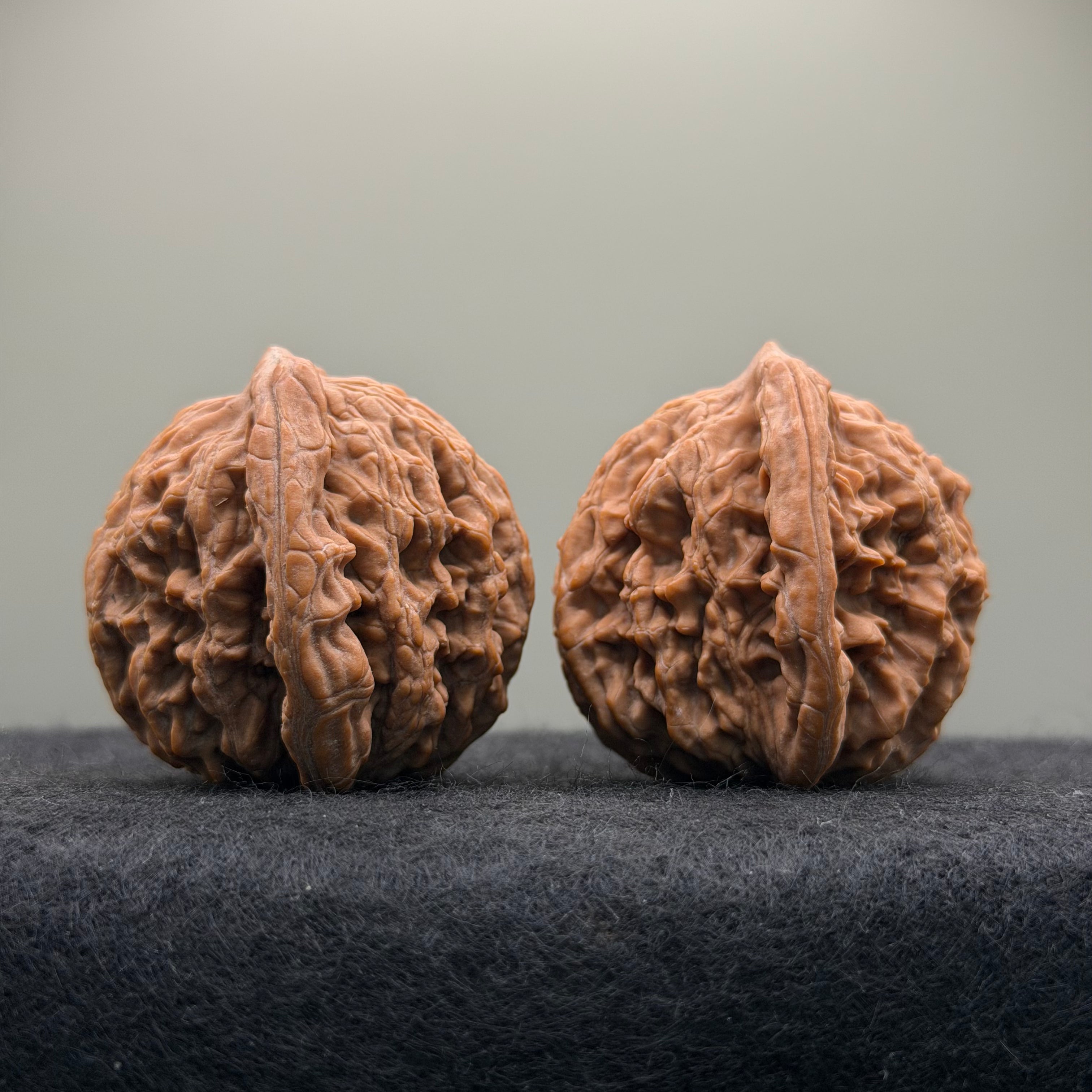 Wheat Ear Tiger Head Wenwan Walnut  · 41mm · Natural · Entry Ritual