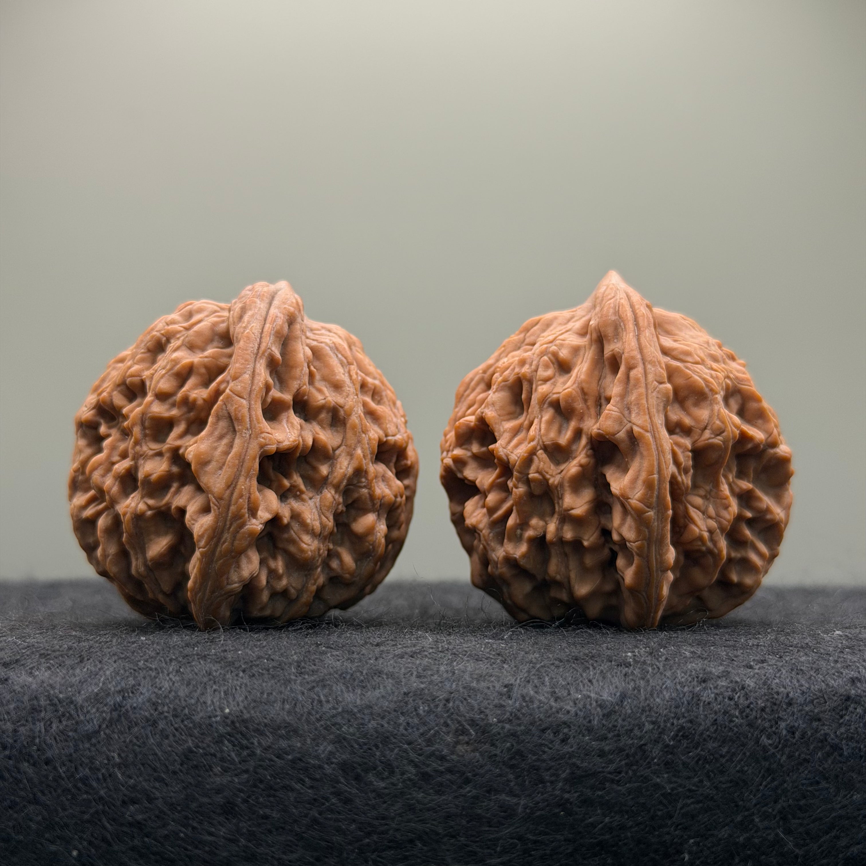 Wheat Ear Tiger Head Wenwan Walnut  · 41mm · Natural · Entry Ritual