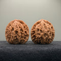 Wheat Ear Tiger Head Wenwan Walnut  · 39mm · Natural · Entry Ritual