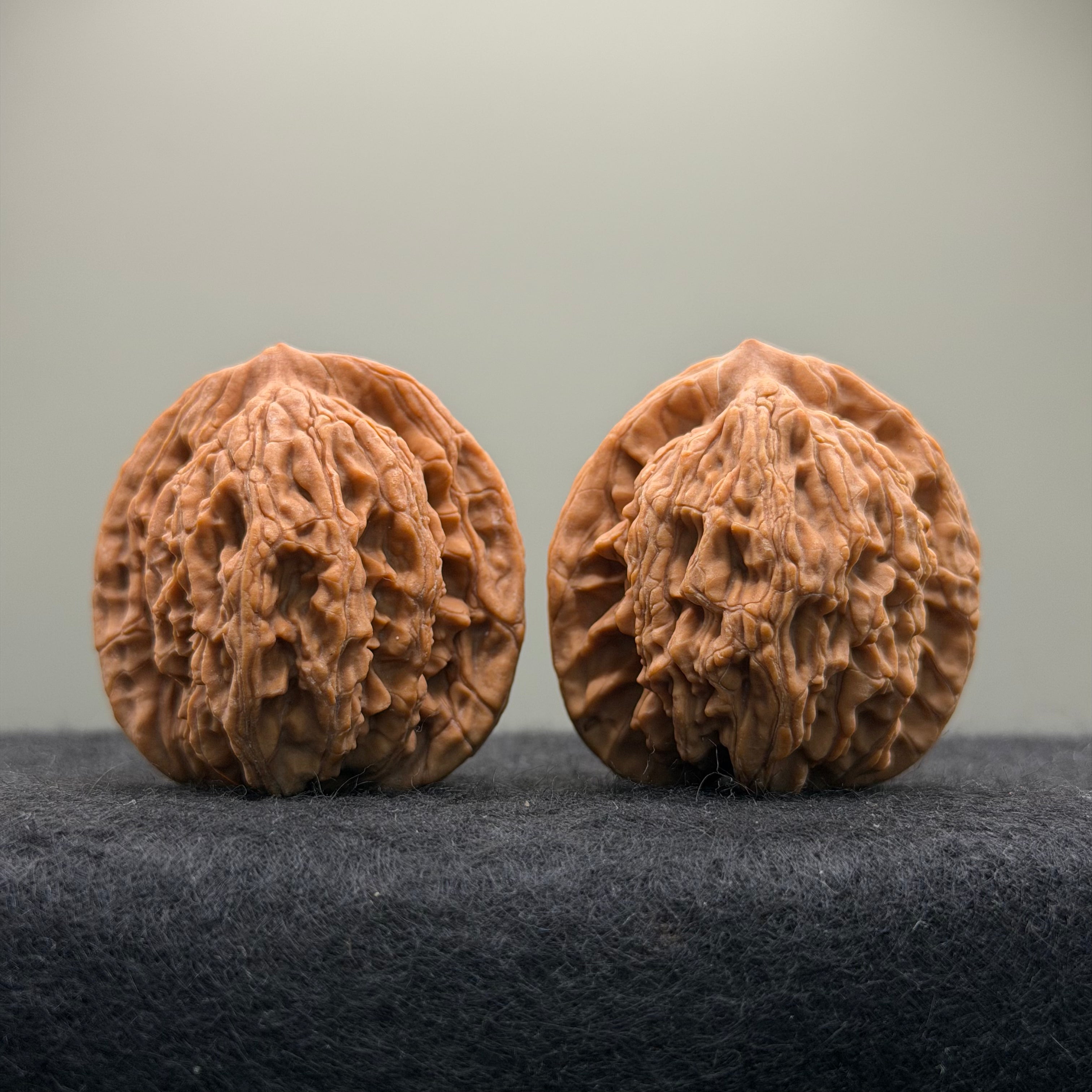Wheat Ear Tiger Head Wenwan Walnut  · 39mm · Natural · Entry Ritual