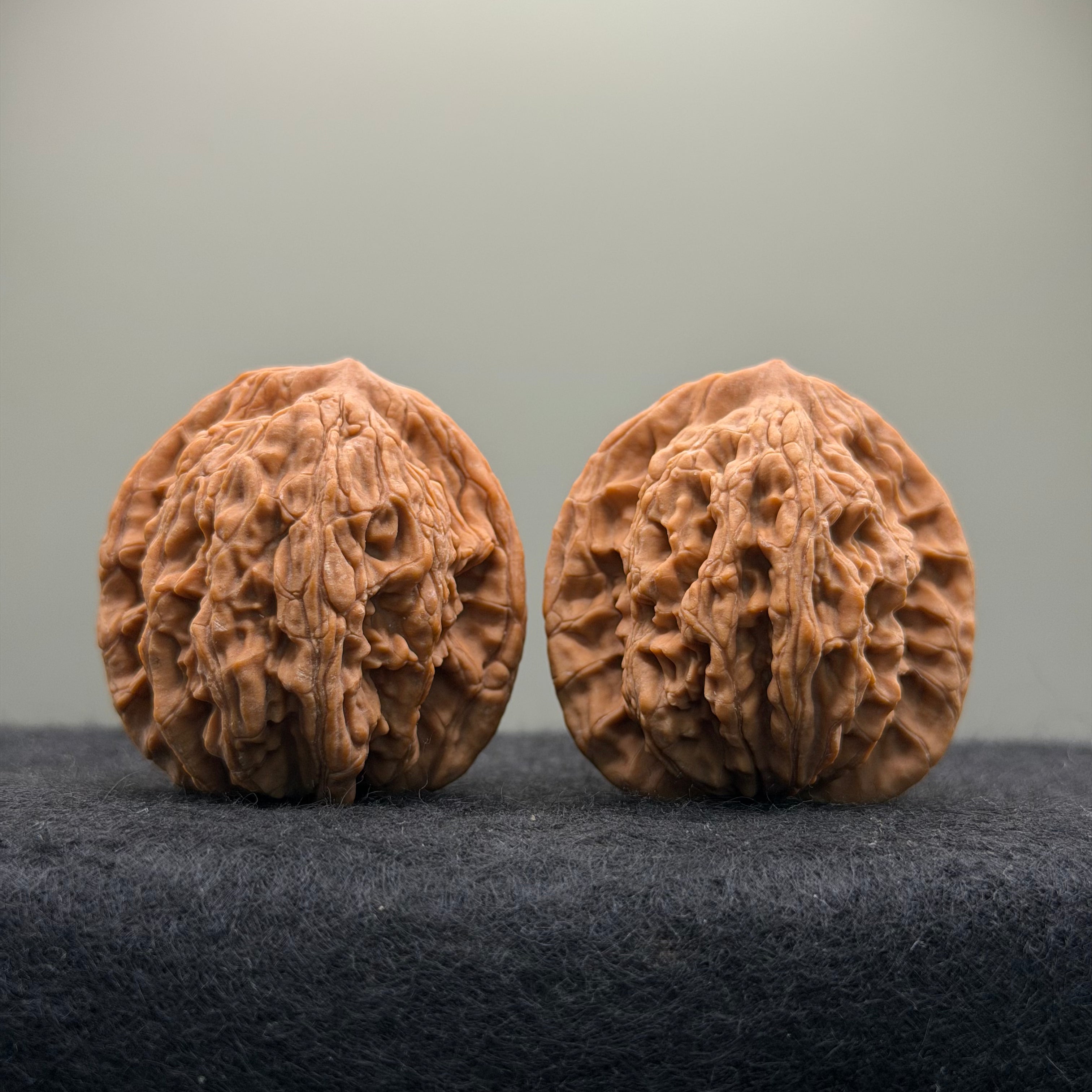 Wheat Ear Tiger Head Wenwan Walnut  · 39mm · Natural · Entry Ritual