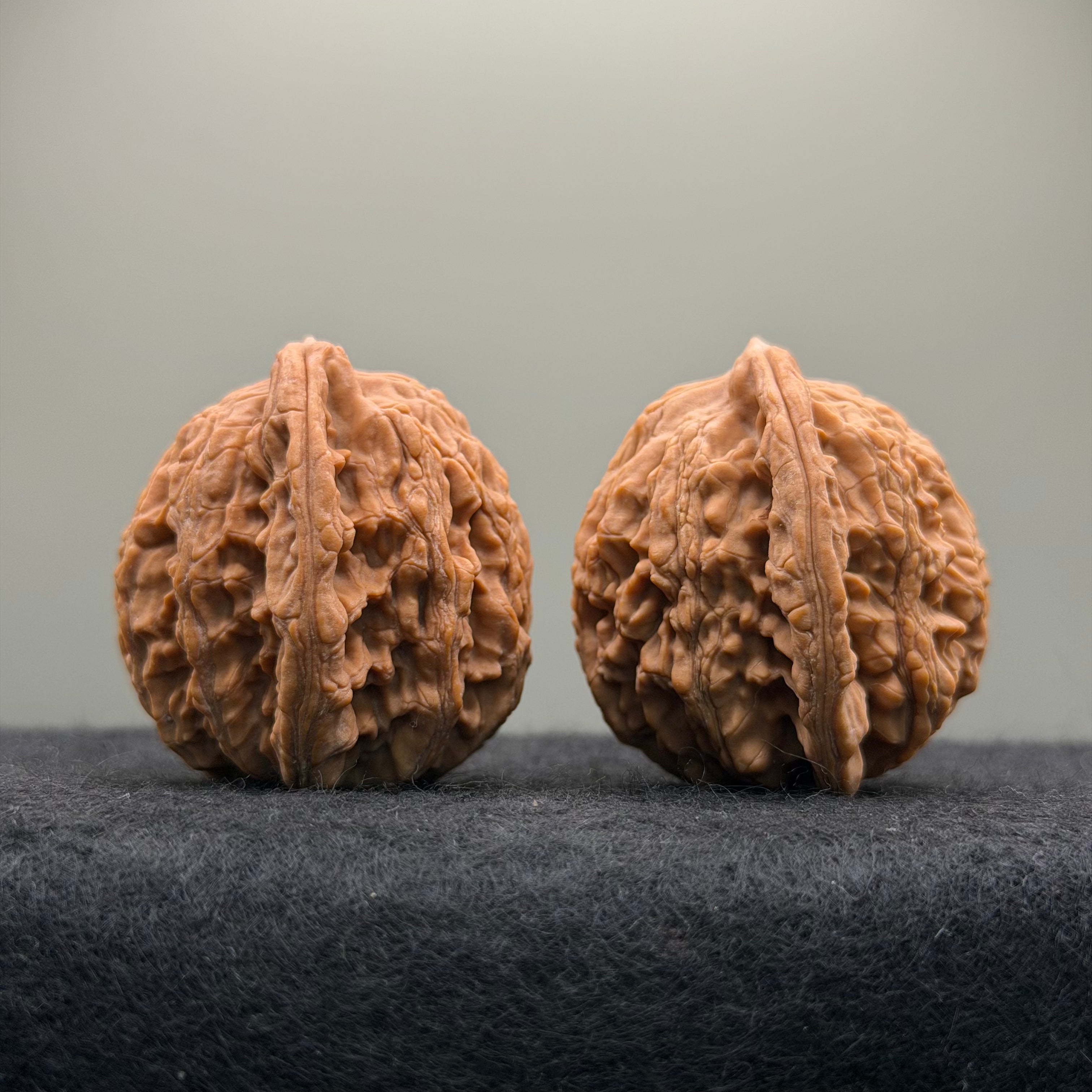 Wheat Ear Tiger Head Wenwan Walnut  · 39mm · Natural · Entry Ritual