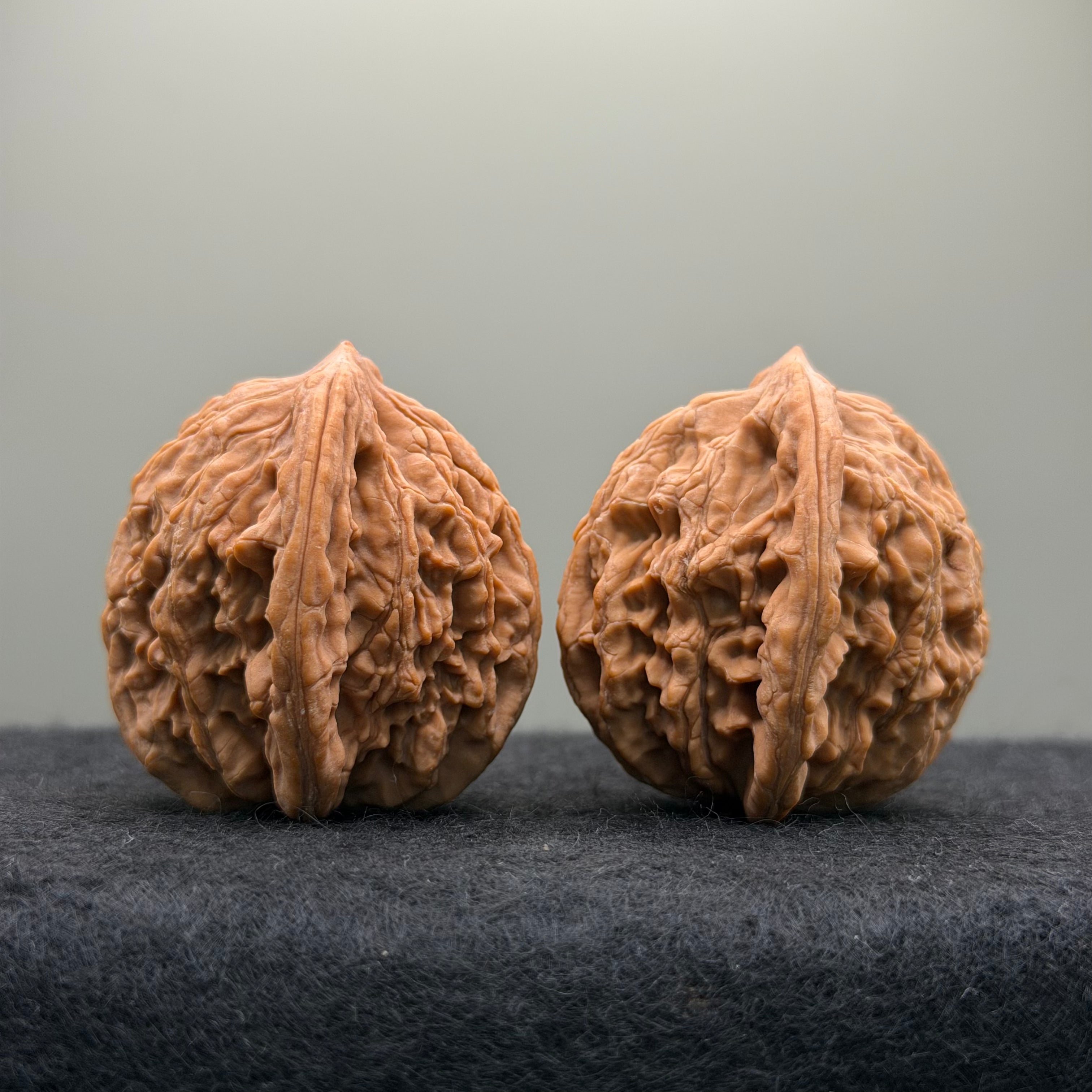 Wheat Ear Tiger Head Wenwan Walnut  · 39mm · Natural · Entry Ritual