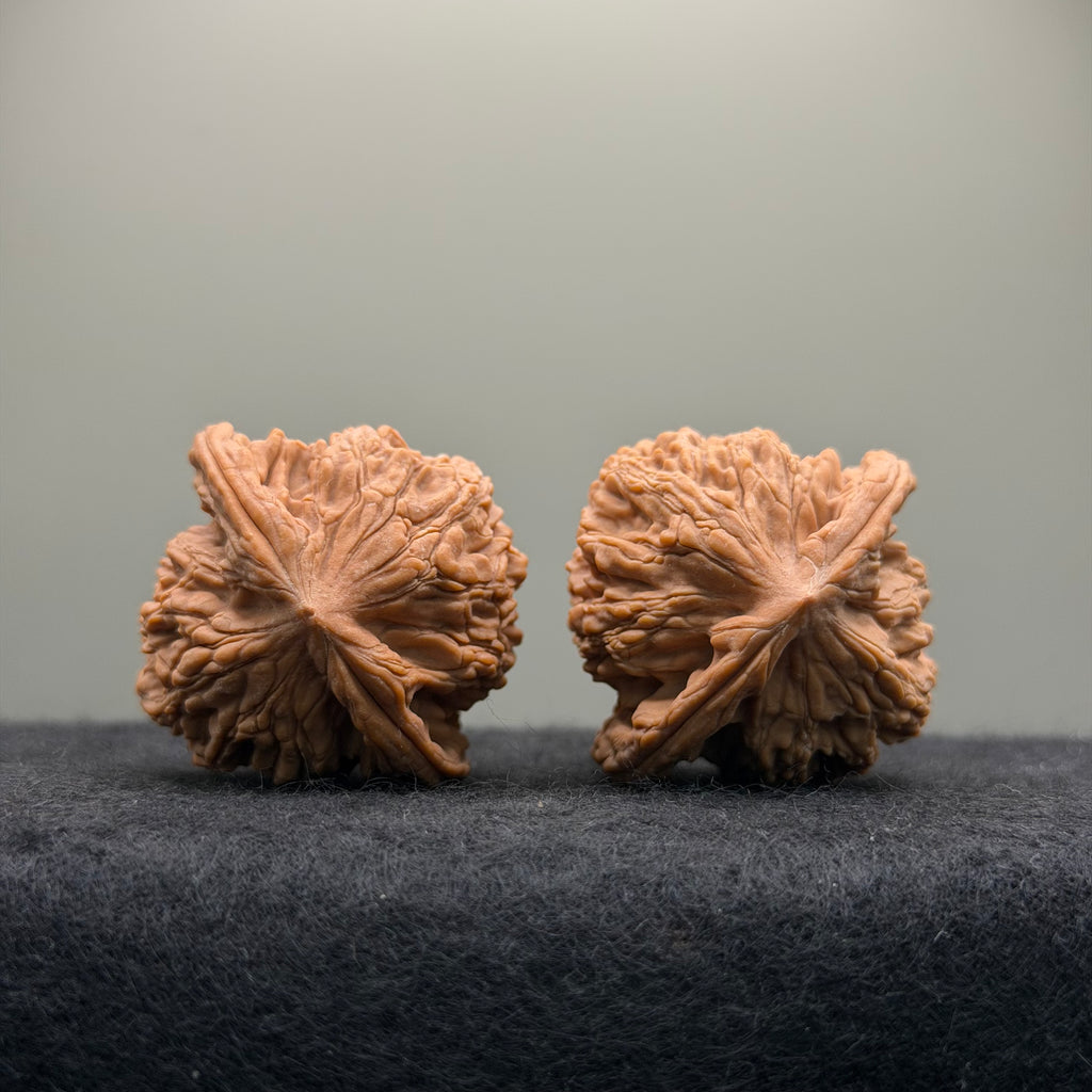 Wheat Ear Tiger Head Wenwan Walnut  · 39mm · Natural · Entry Ritual