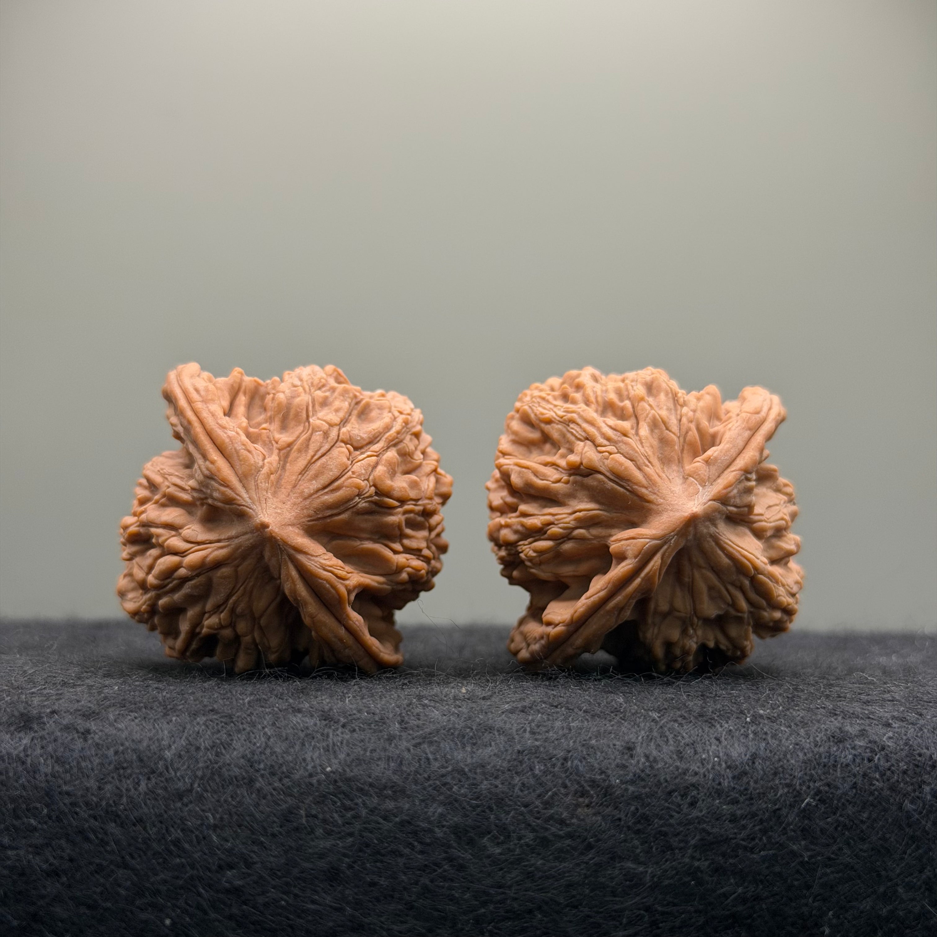 Wheat Ear Tiger Head Wenwan Walnut  · 39mm · Natural · Entry Ritual