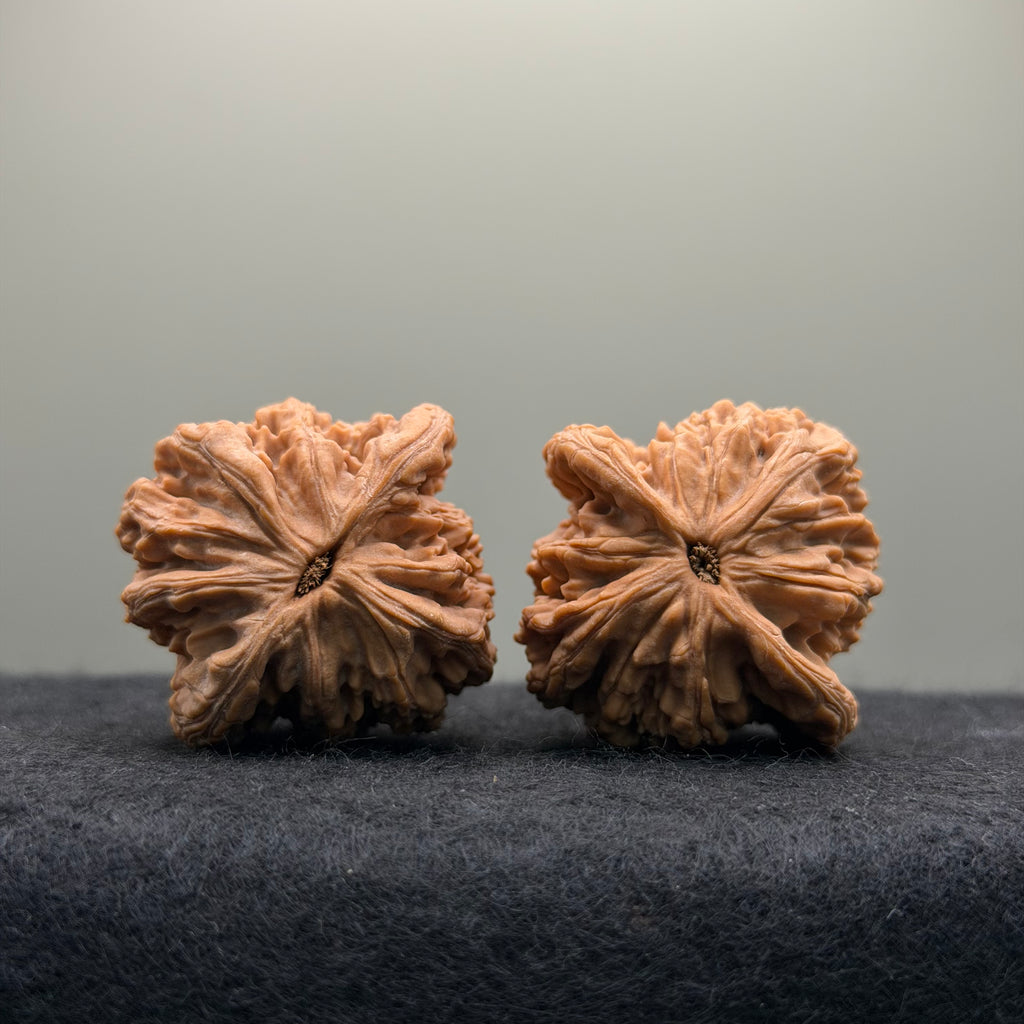 Wheat Ear Tiger Head Wenwan Walnut  · 39mm · Natural · Entry Ritual