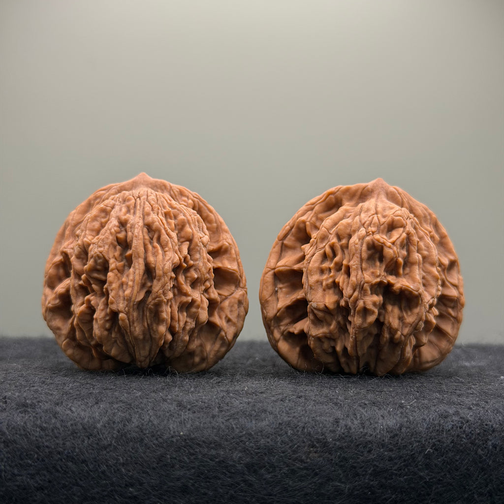 Wheat Ear Tiger Head Wenwan Walnut · 41mm · Natural · Entry Ritual