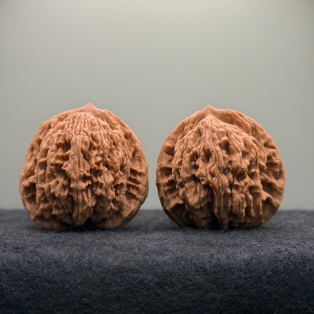 Wheat Ear Tiger Head Wenwan Walnut · 41mm · Natural · Entry Ritual