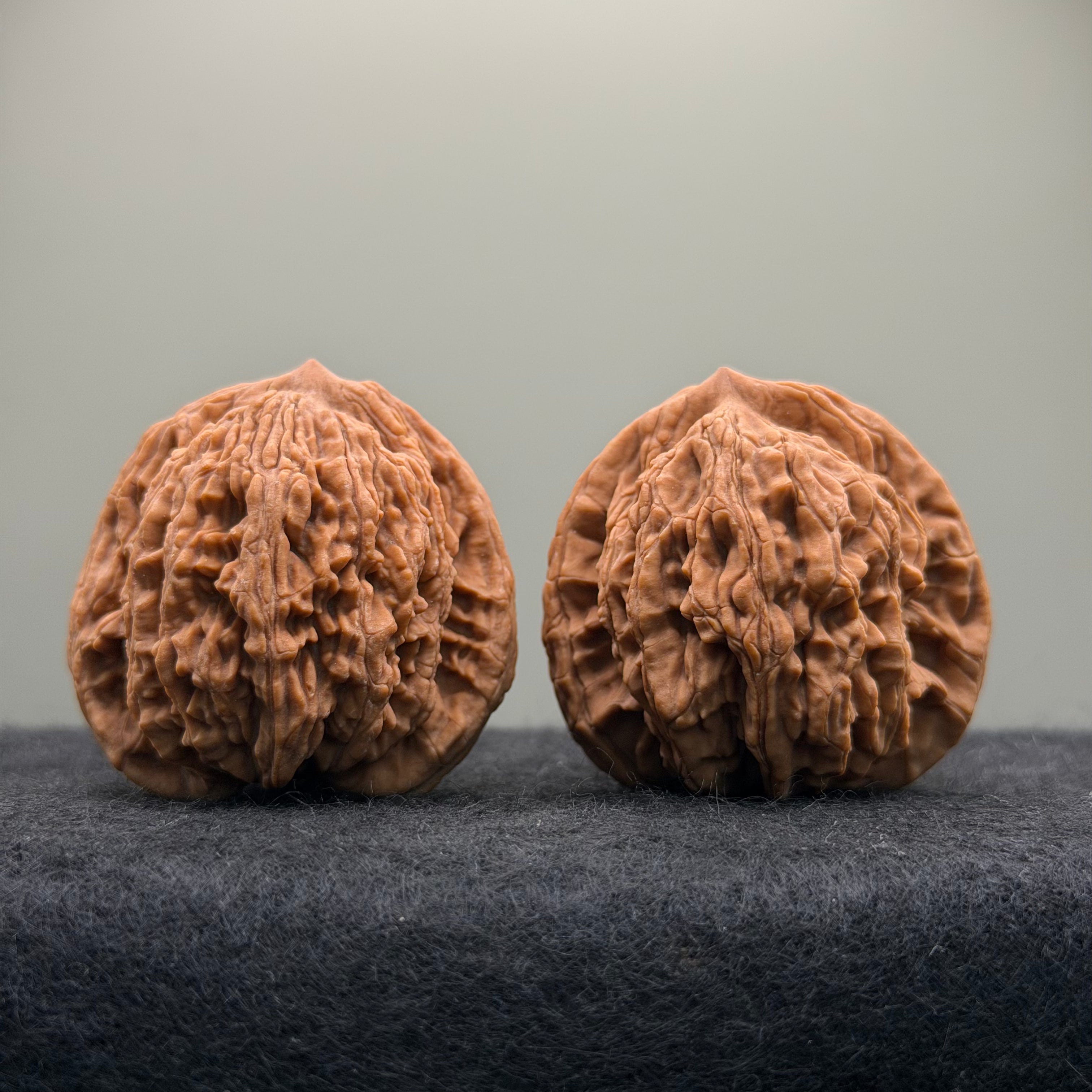 Wheat Ear Tiger Head Wenwan Walnut · 41mm · Natural · Entry Ritual