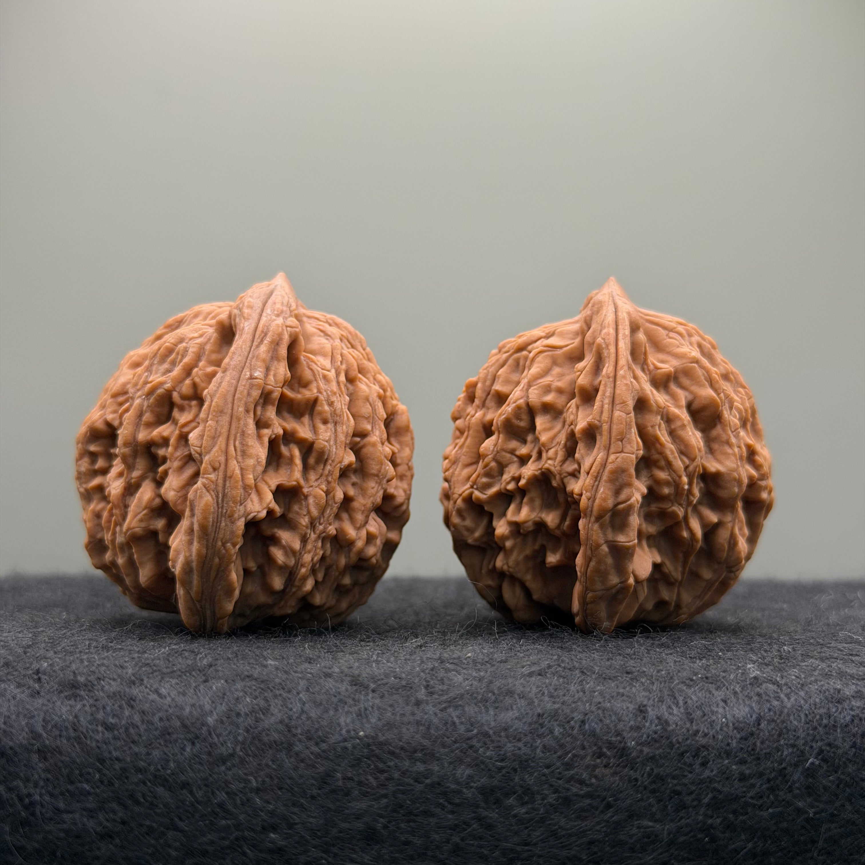 Wheat Ear Tiger Head Wenwan Walnut · 41mm · Natural · Entry Ritual