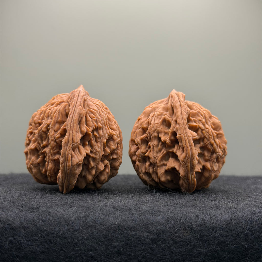 Wheat Ear Tiger Head Wenwan Walnut · 41mm · Natural · Entry Ritual